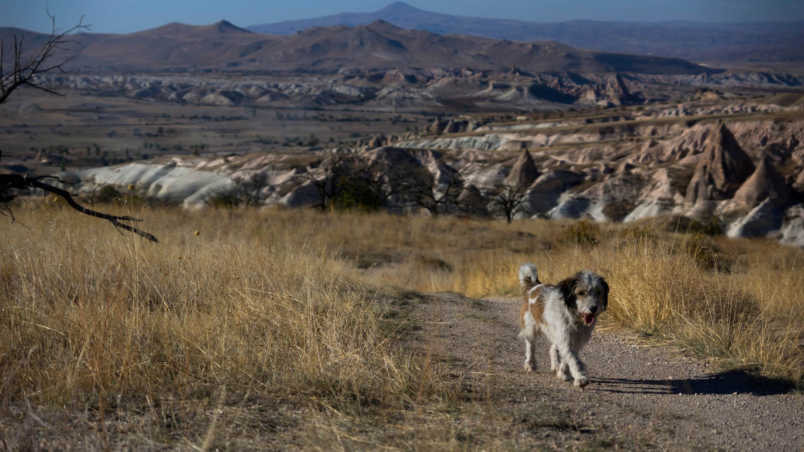 Каппадокия. Фотограф-путешественник Самойлов Максим «Sly Fox»