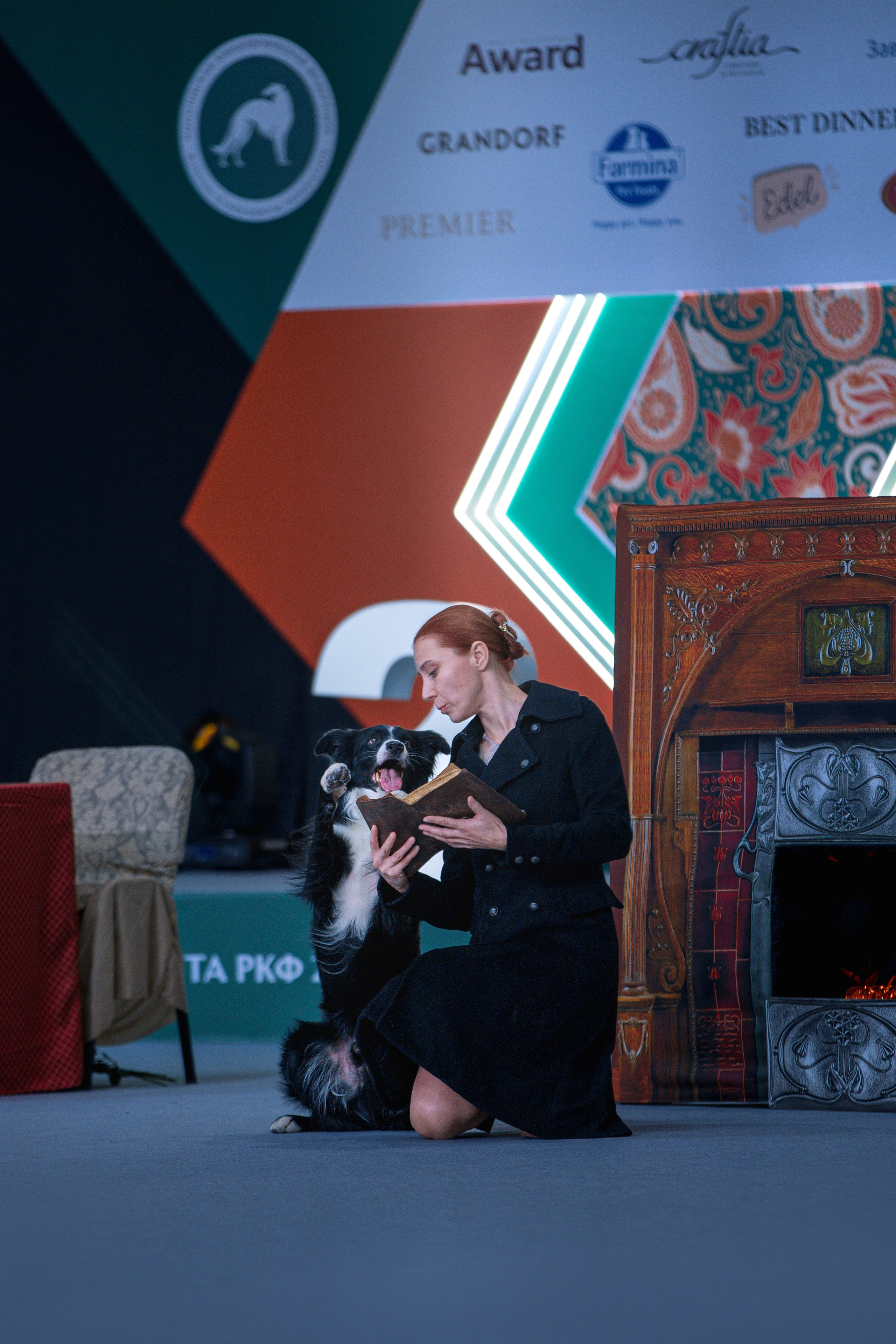 Выставки. Фотограф анималист в Москве Майорова Евгения