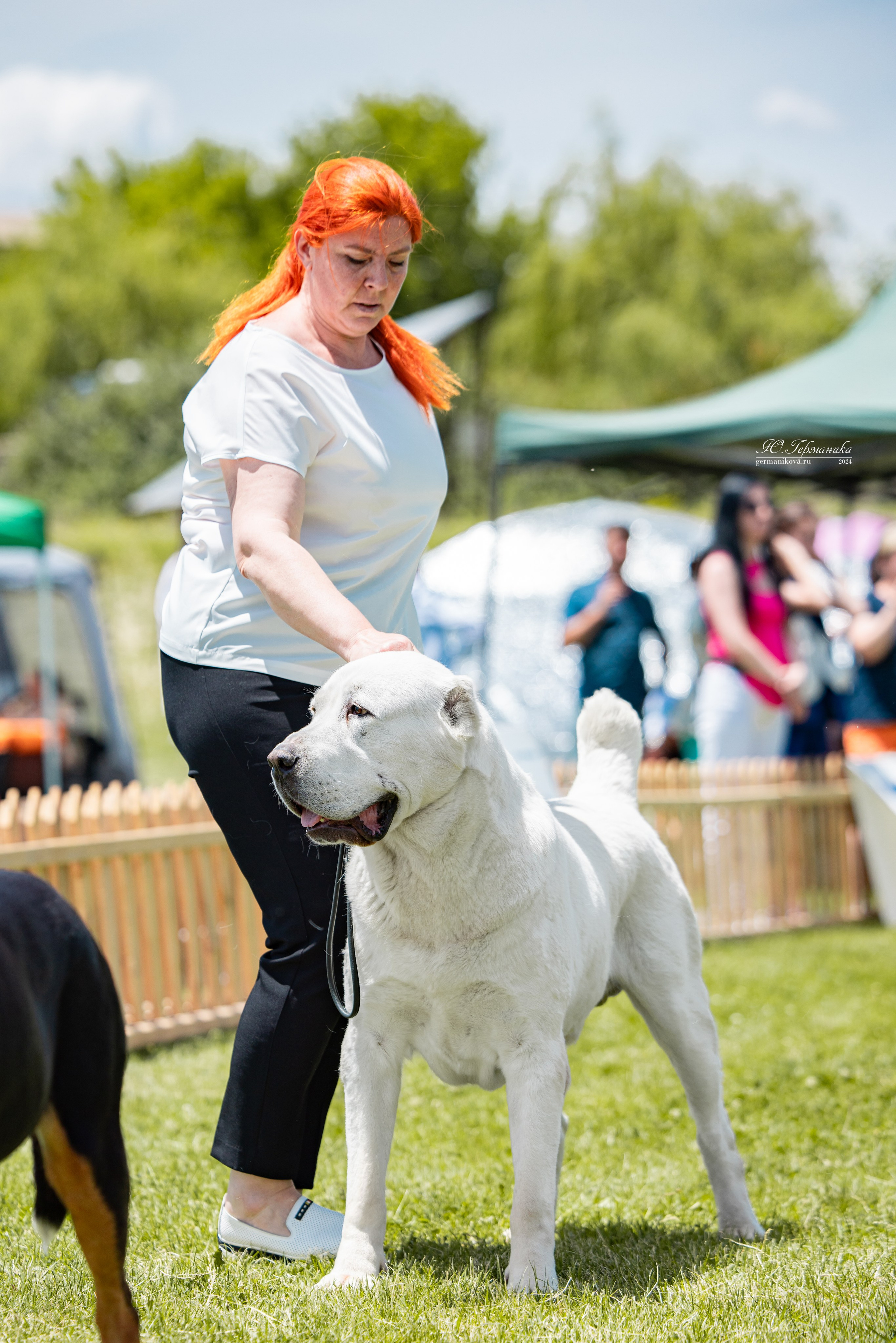 Ереван 3-5.06.2024. Фотограф-анималист Юлия Германика