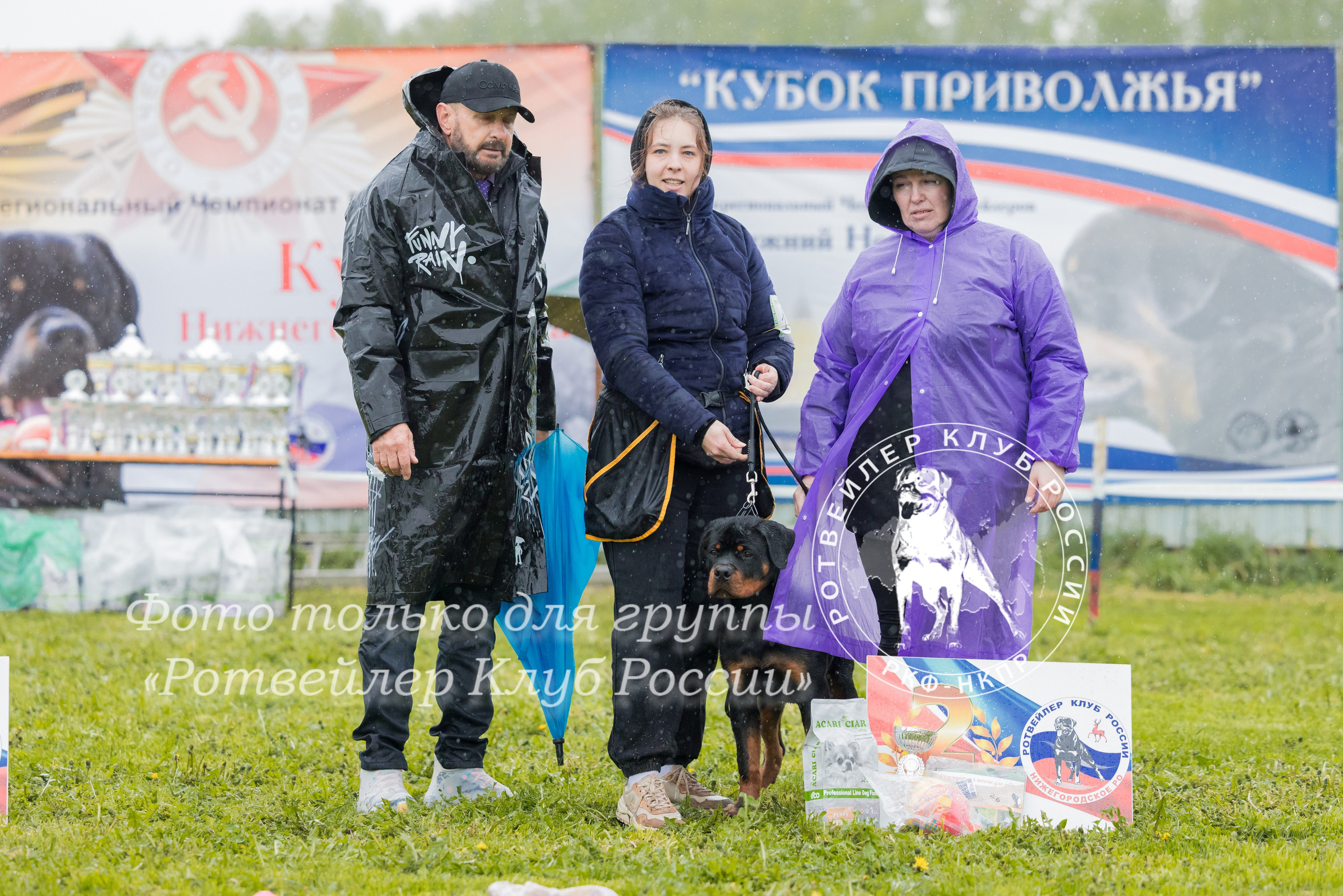 Нижний Новгород 2хмоно ротвейлеров 10-11.05.2025. Фотограф-анималист Юлия Германика