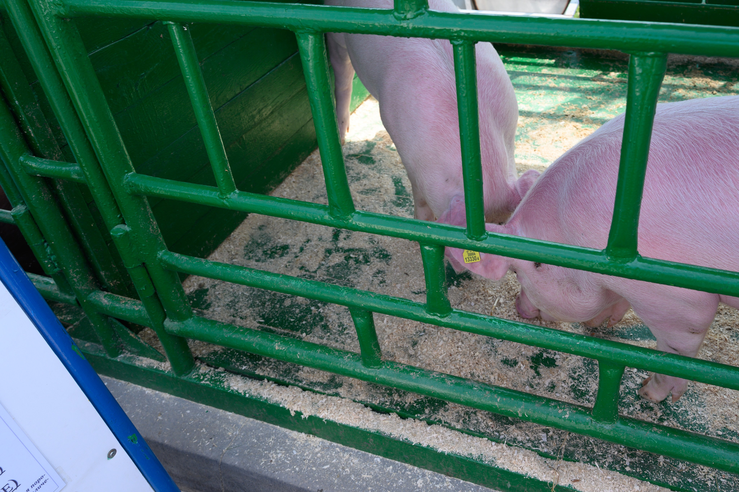 Агровыставка. Фотоуслуги, услуги фотографа, фотографирование важных событий