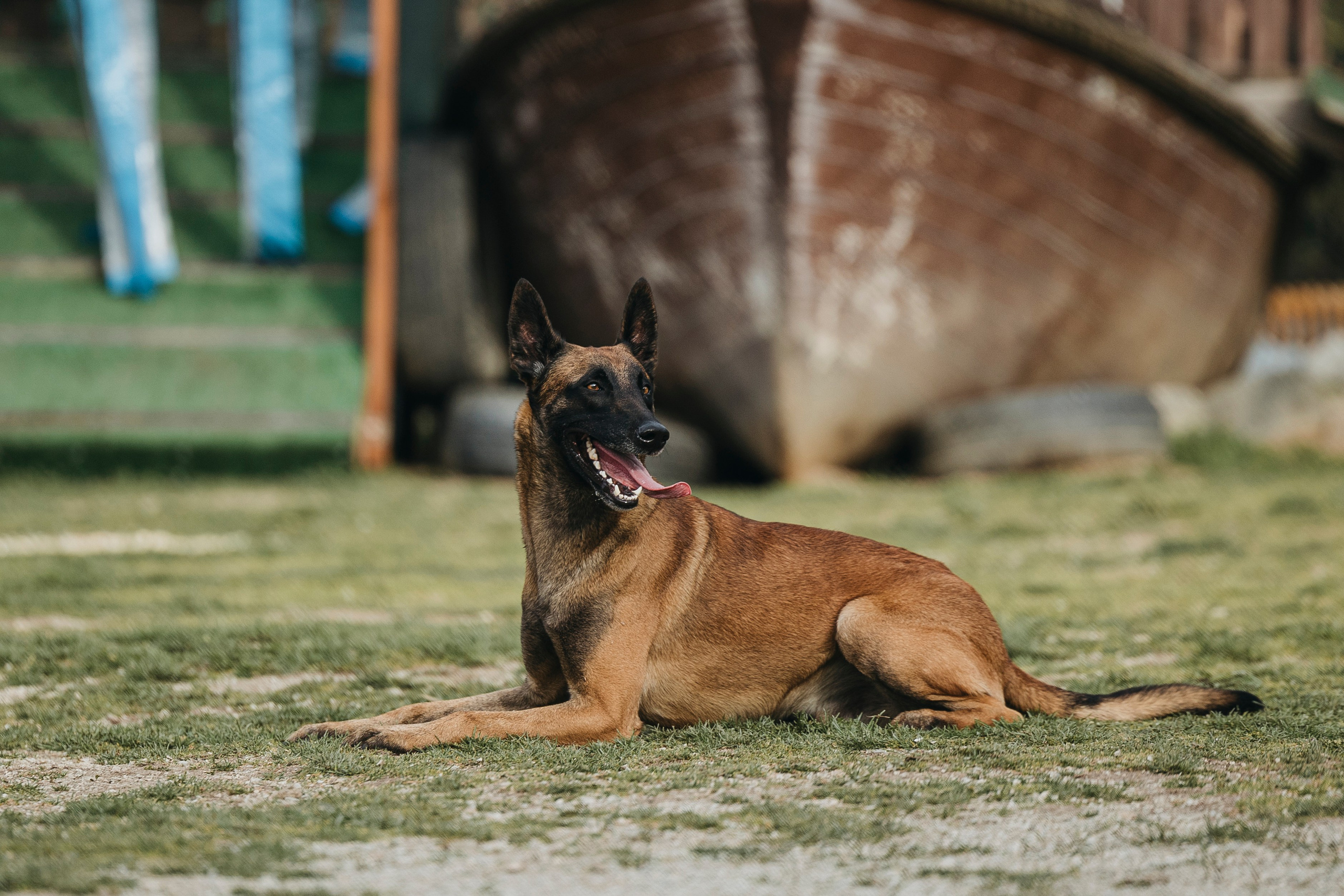 Геленджик Мондьоринг. Фотограф-анималист Анна Маринич