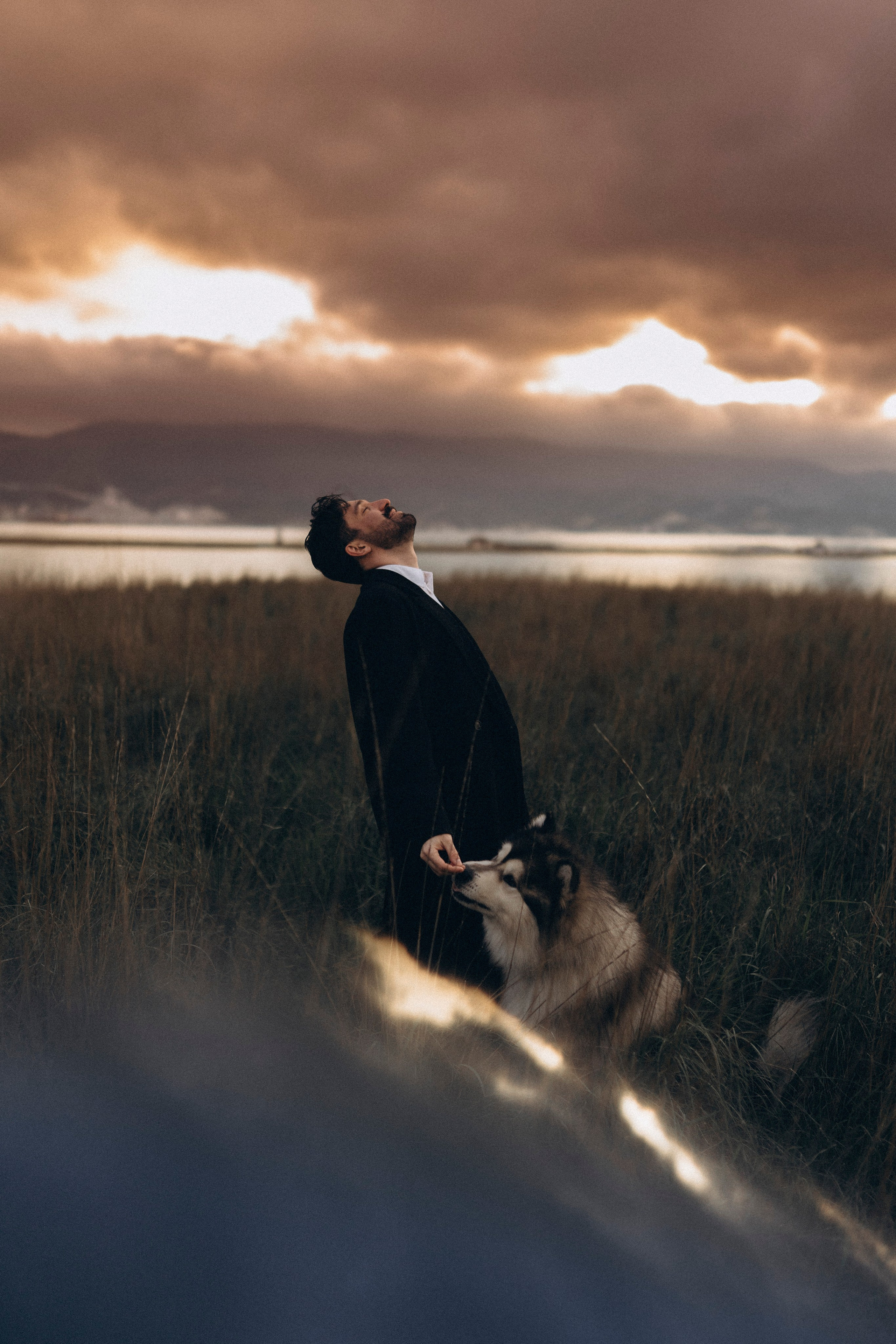 Друг человека. Фотограф Дарья Филатова