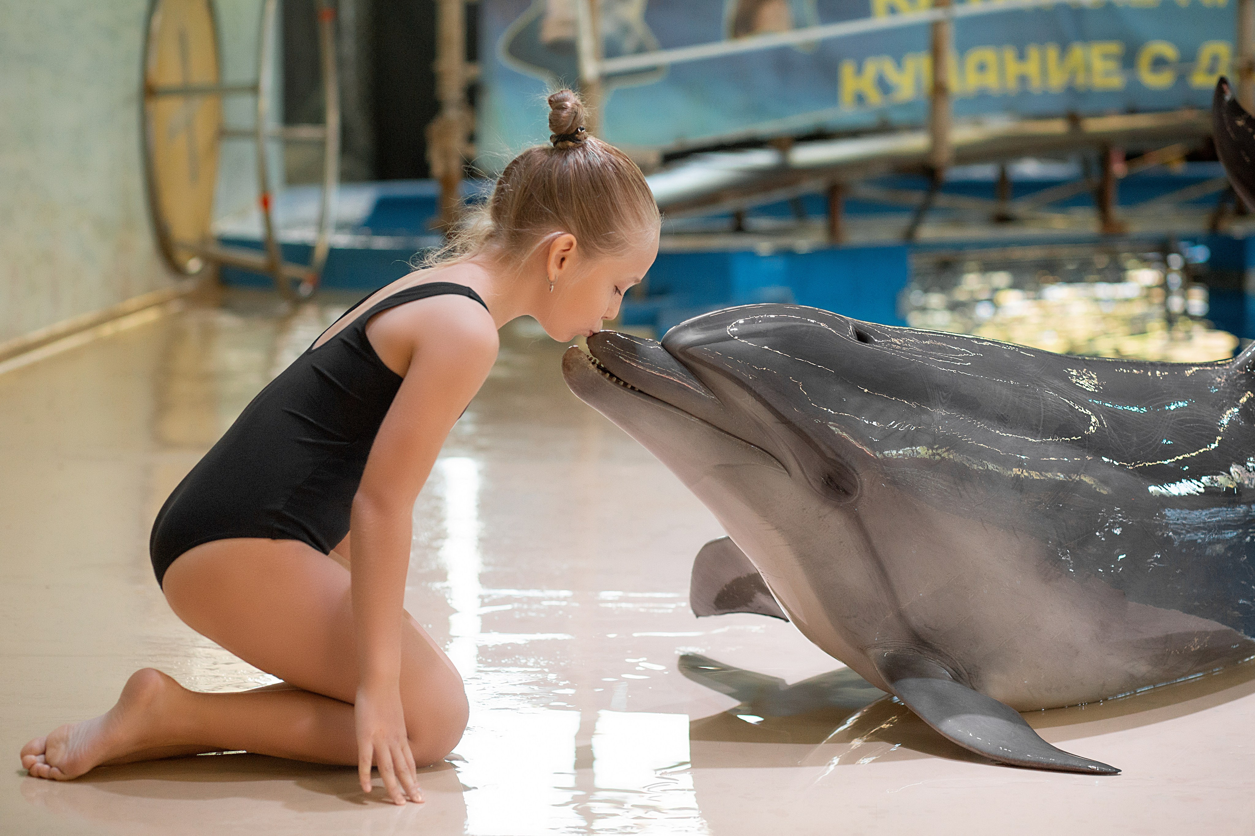Арина и дельфины. Фотосессия с лошадьми в Нижнем Новгороде