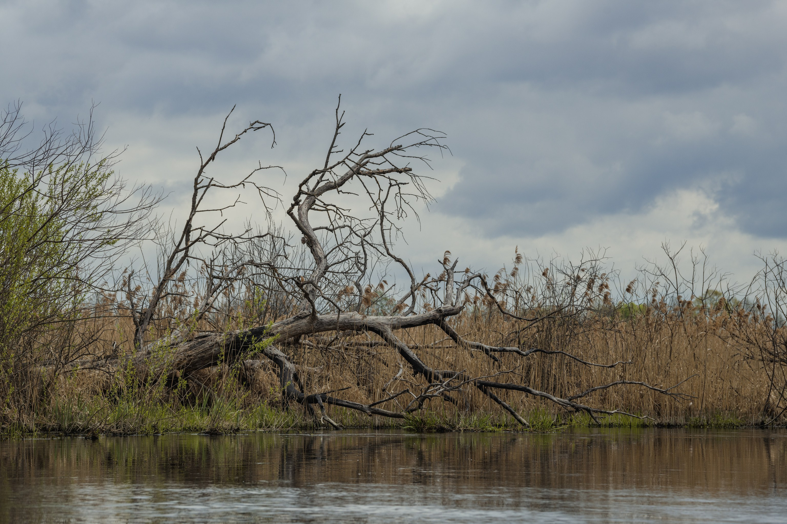 Водный поход 1-й кс по реке Случь. Репортажный фотограф Владимир Беляй
