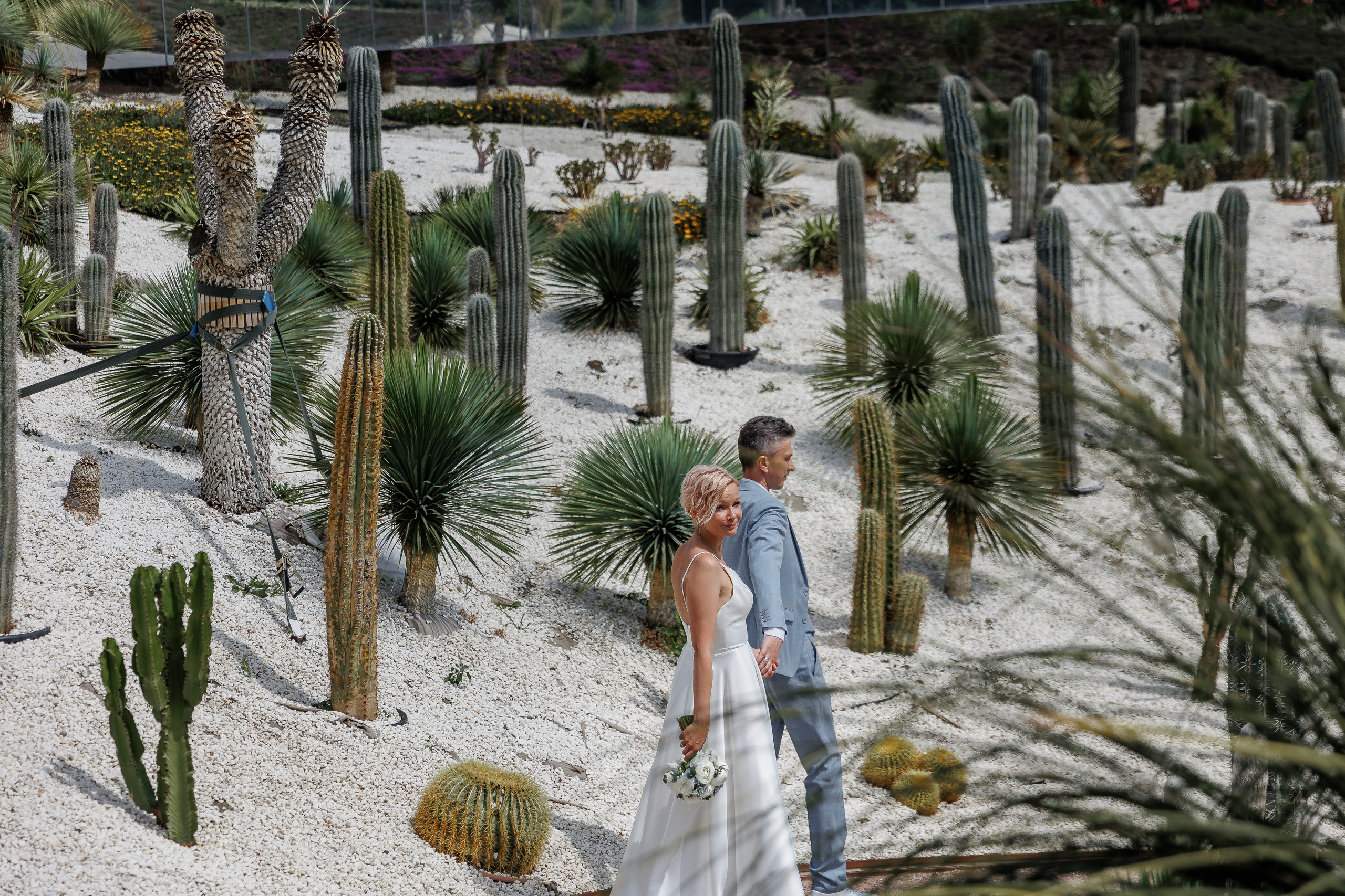 Ялта и Винный парк. Анонс свадьбы Дмитрия и Анны. Свадебный фотограф в Крыму и Севастополе Ольга Баскакова