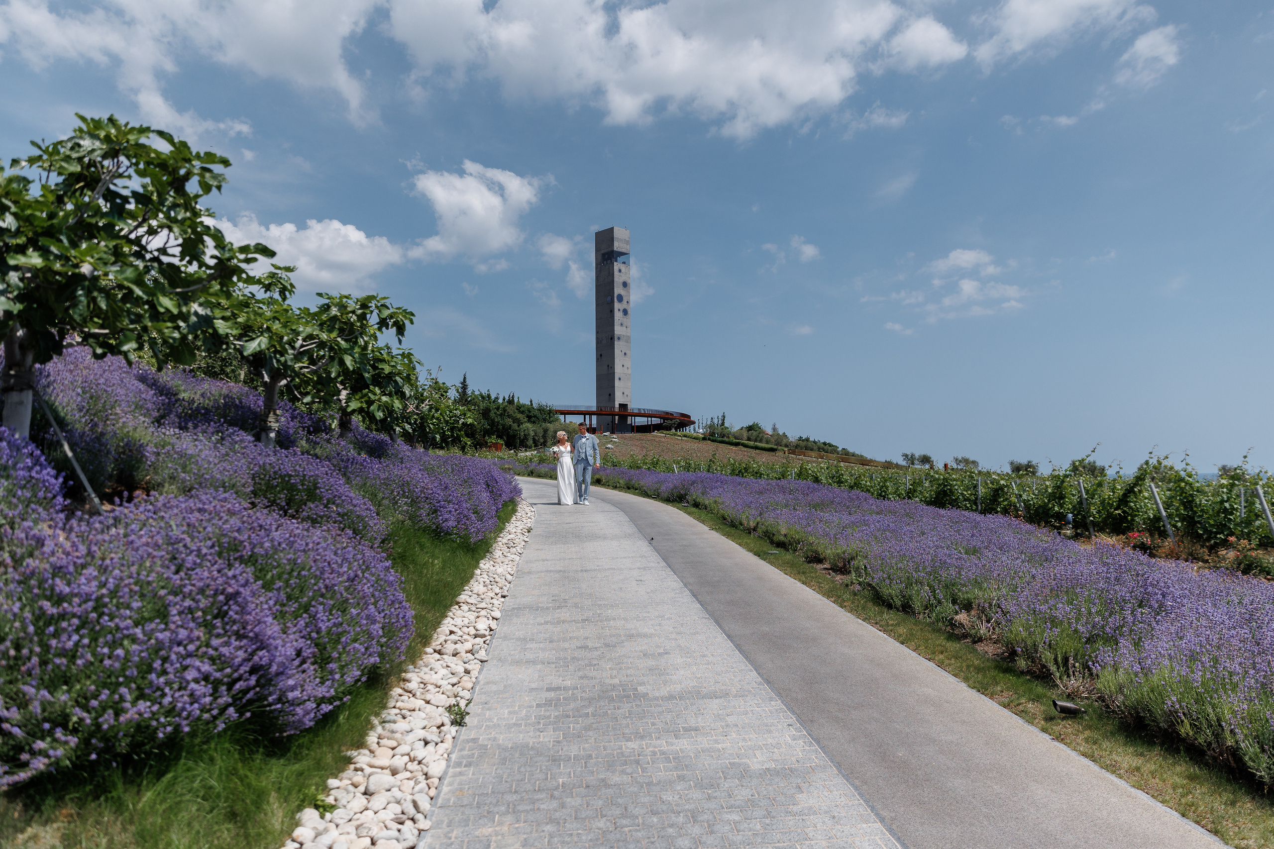 Ялта и Винный парк. Анонс свадьбы Дмитрия и Анны. Свадебный фотограф в Крыму и Севастополе Ольга Баскакова