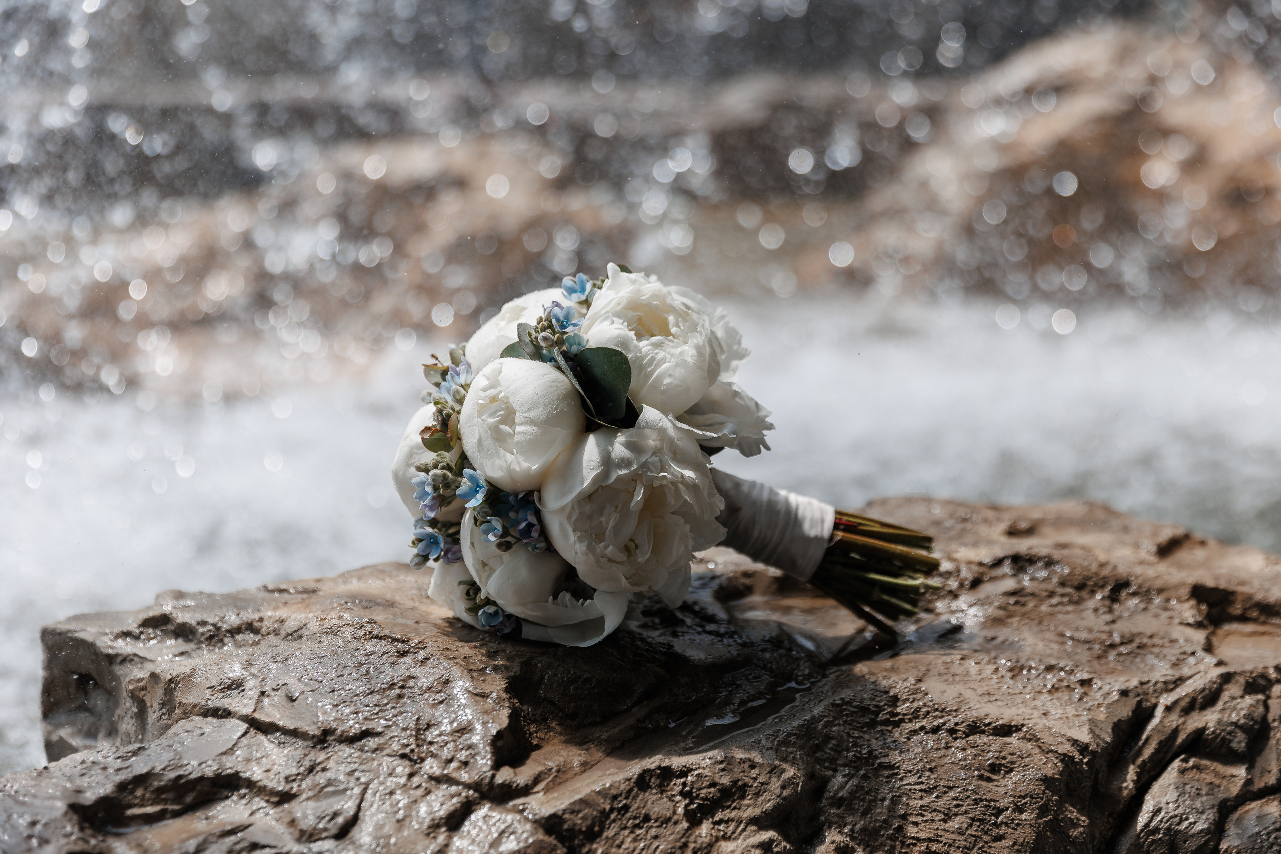 Ялта и Винный парк. Анонс свадьбы Дмитрия и Анны. Свадебный фотограф в Крыму и Севастополе Ольга Баскакова