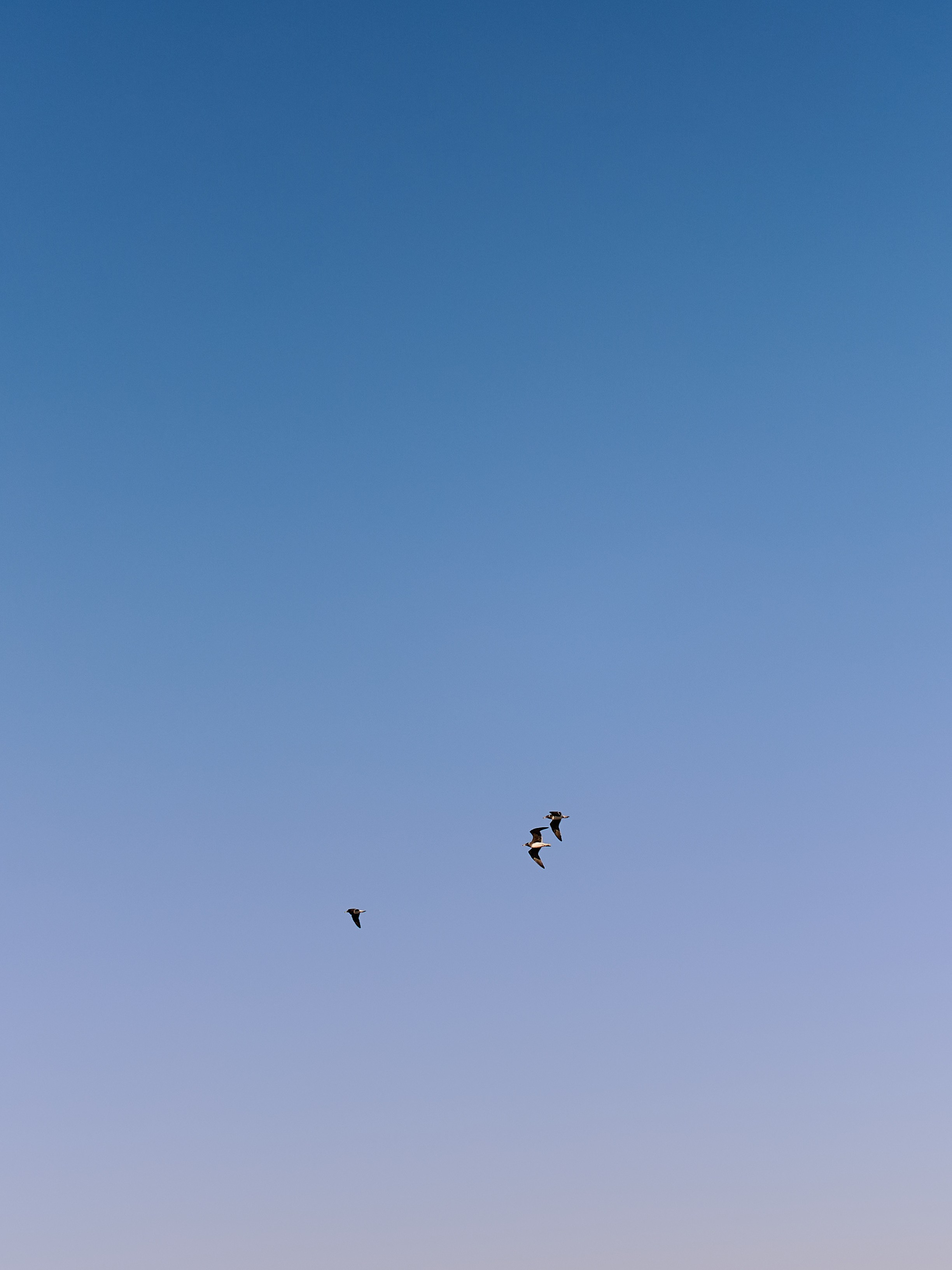 Другое 3. Jorgis Talè — photographer, kind person, teacher of arts and other mag