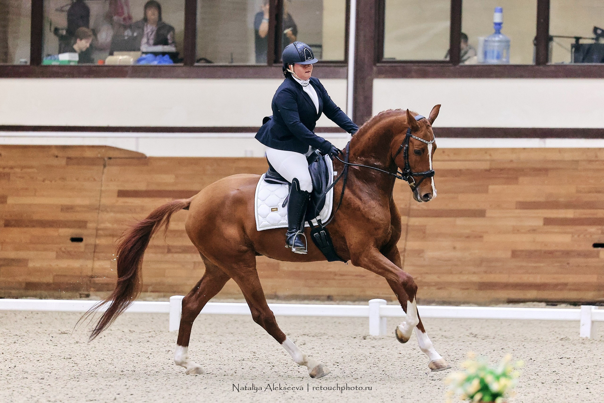 Финал Maxima Park по выездке, Maxima Stables | 10'2023. Репортажный фотограф и ретушер в Москве Наталья Алексеева