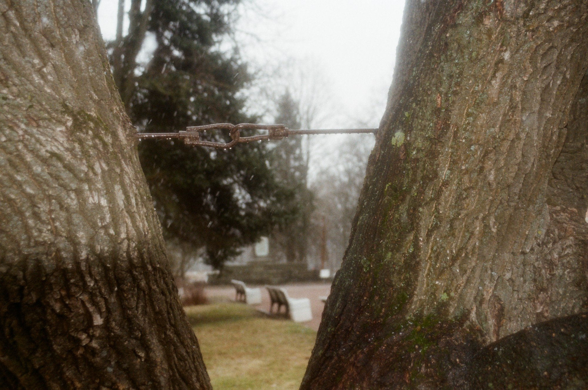 E2-E4. Documentary photographer Anastasia Pentyukhina