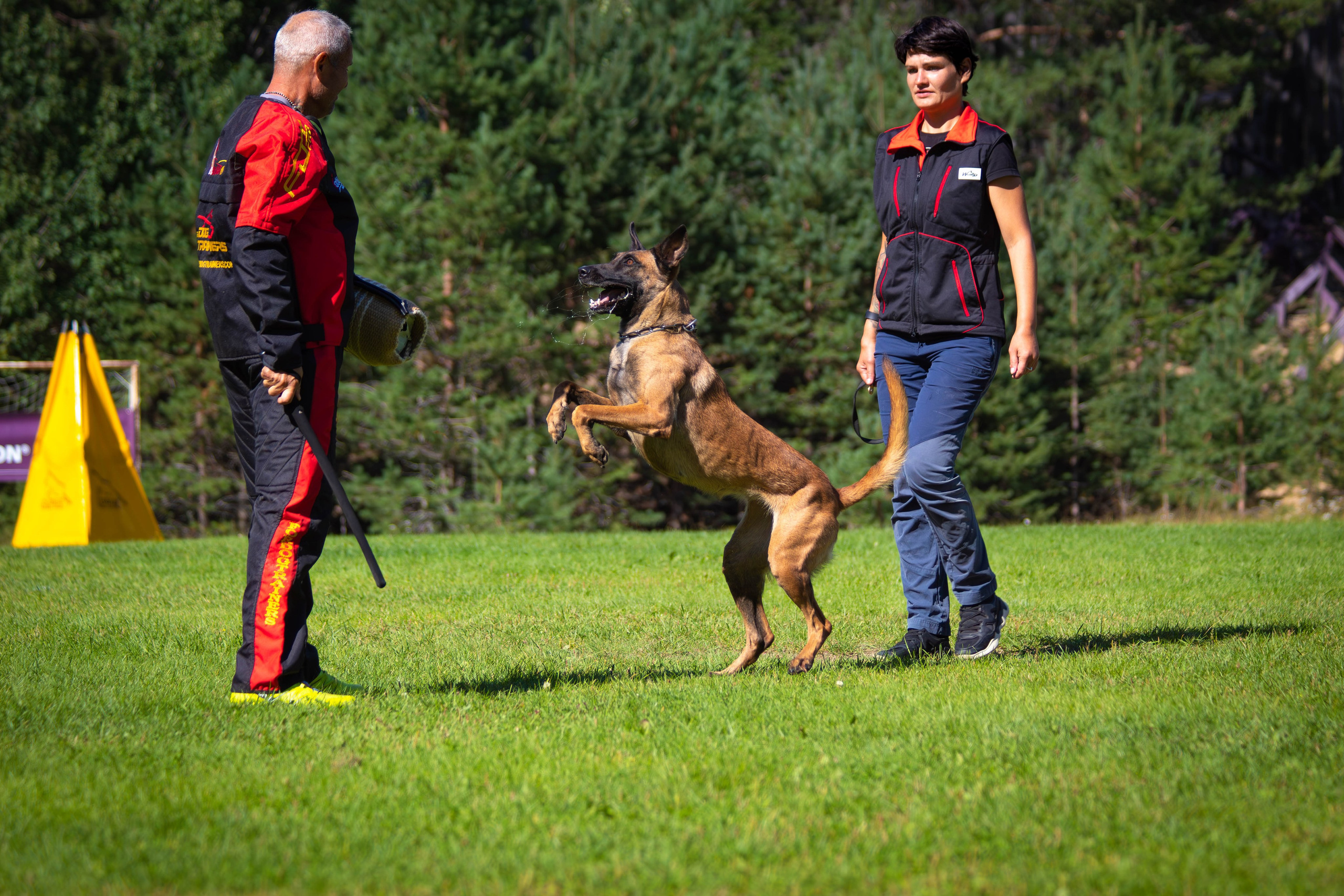 Малинуа фотосессия 