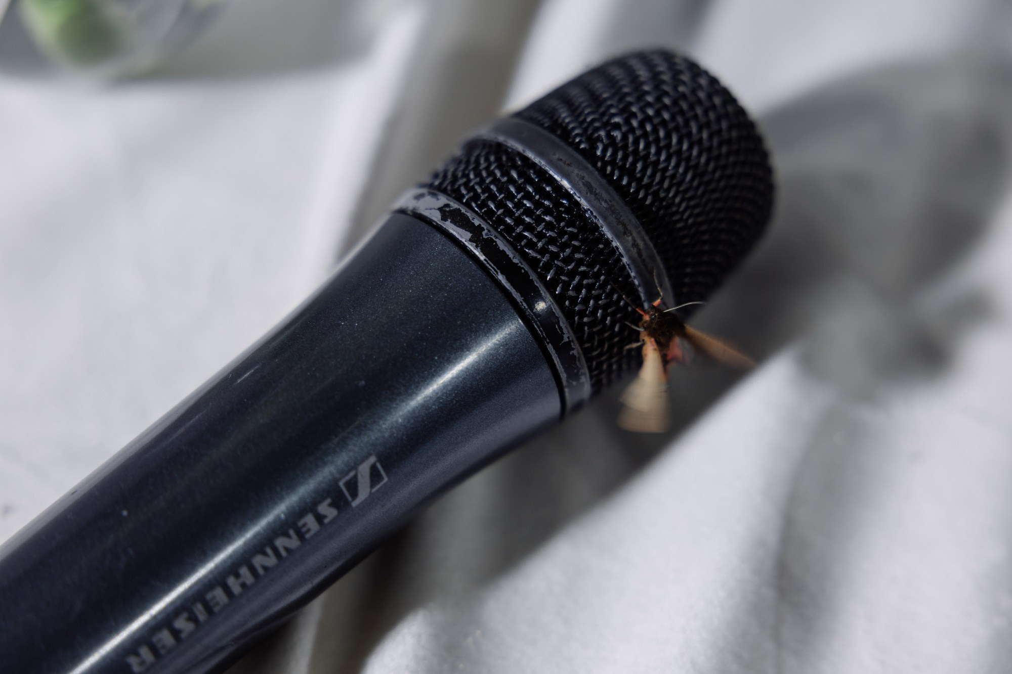 Свежий воздух. Владимир Киселев — свадебный фотограф в Саратове, Москве и по всему миру