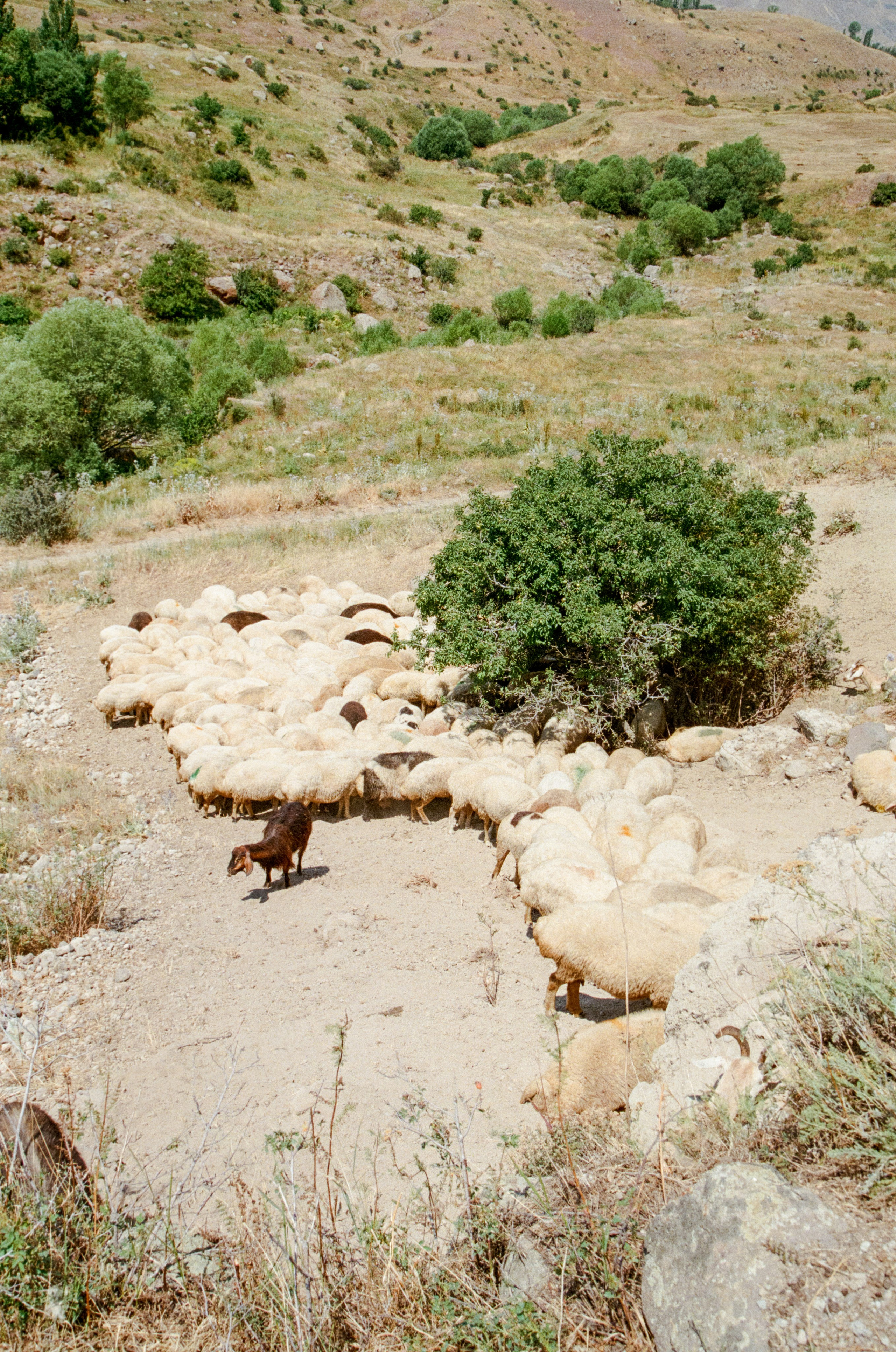 АРМЕНИЯ.24. Профессиональный фотограф Федотова Арина