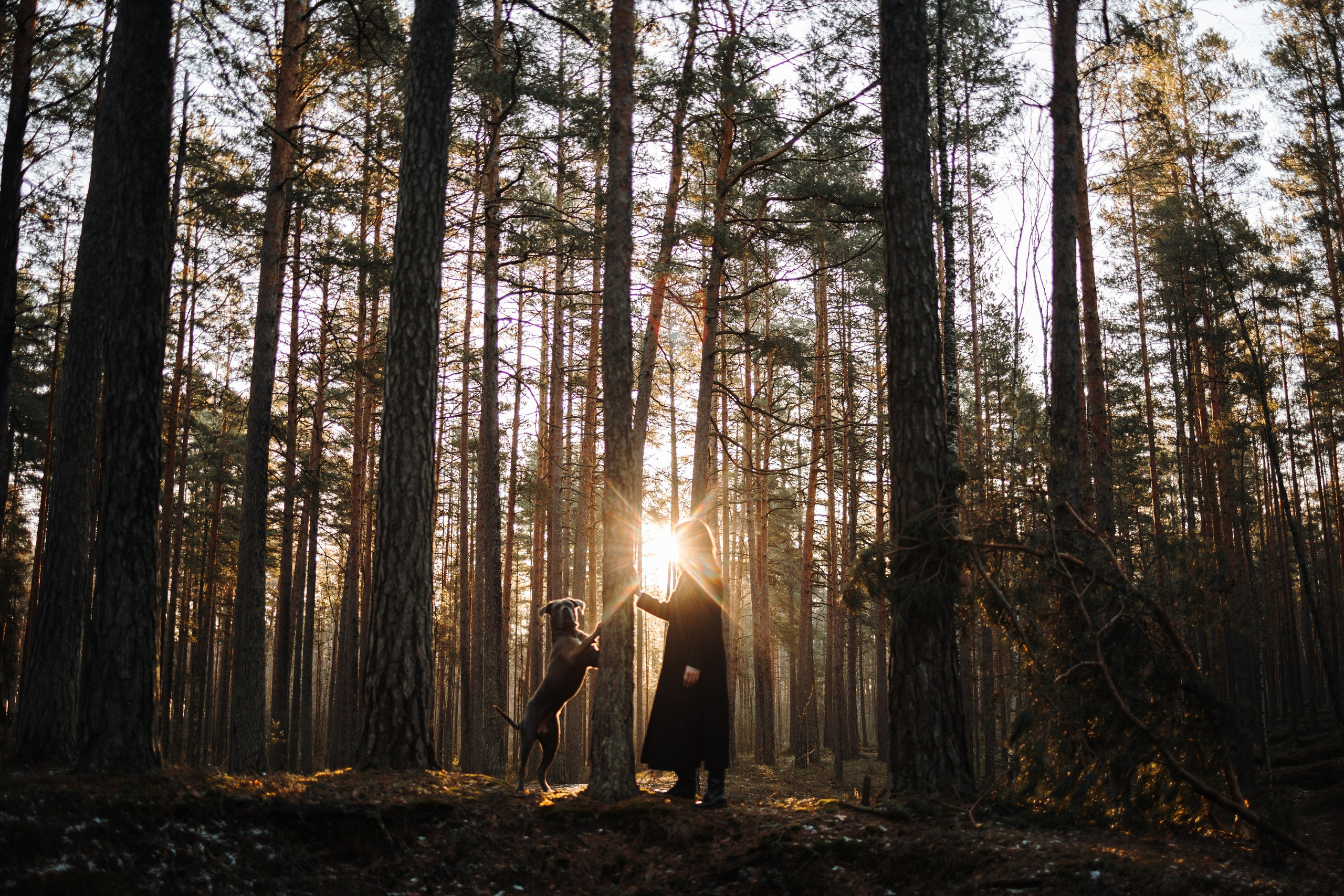 Анна и Лана. Фотограф — Анималист | Санкт-Петербург