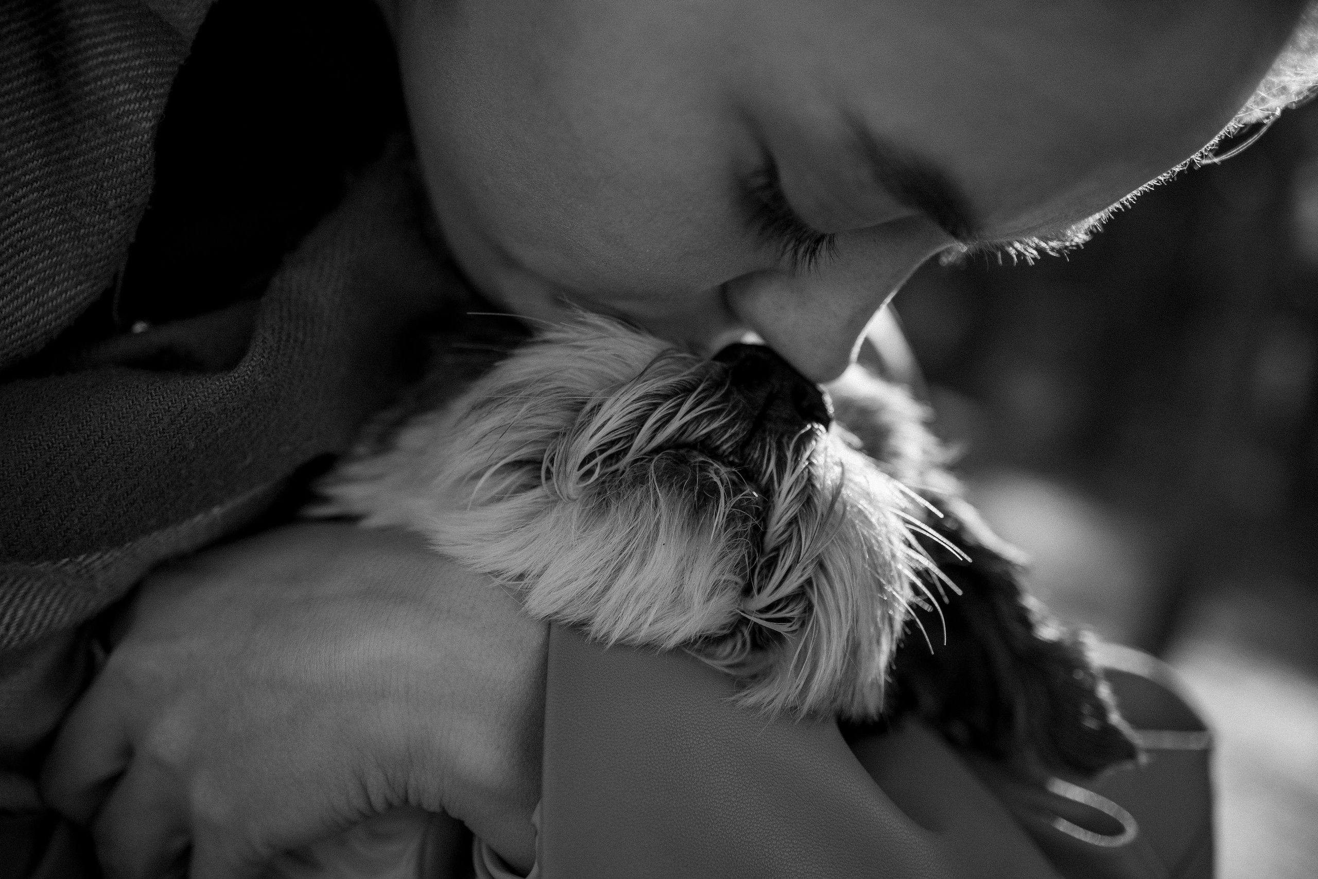 Настя и Франт. Фотограф — Анималист | Санкт-Петербург