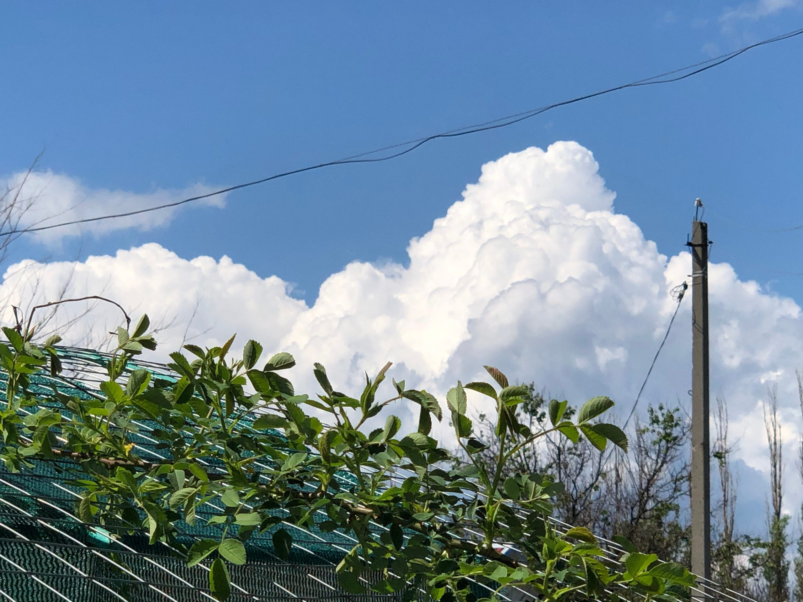 Визуальный дневник. Портретный фотограф в Москве Гахраманова Екатерина