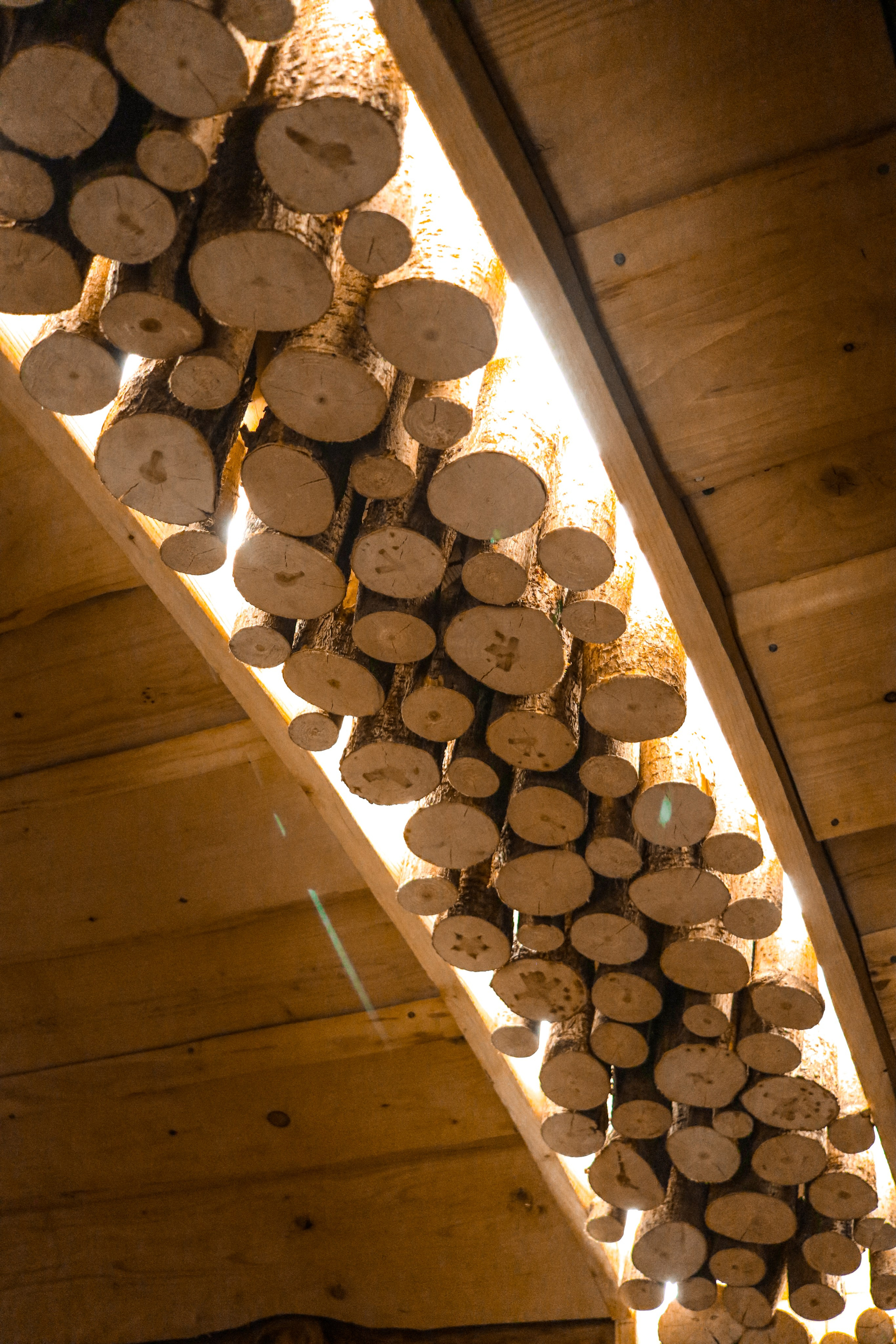 «Pinewood» банный комплекс, респ. Алтай. Контент фотограф Дмитрий Борисов