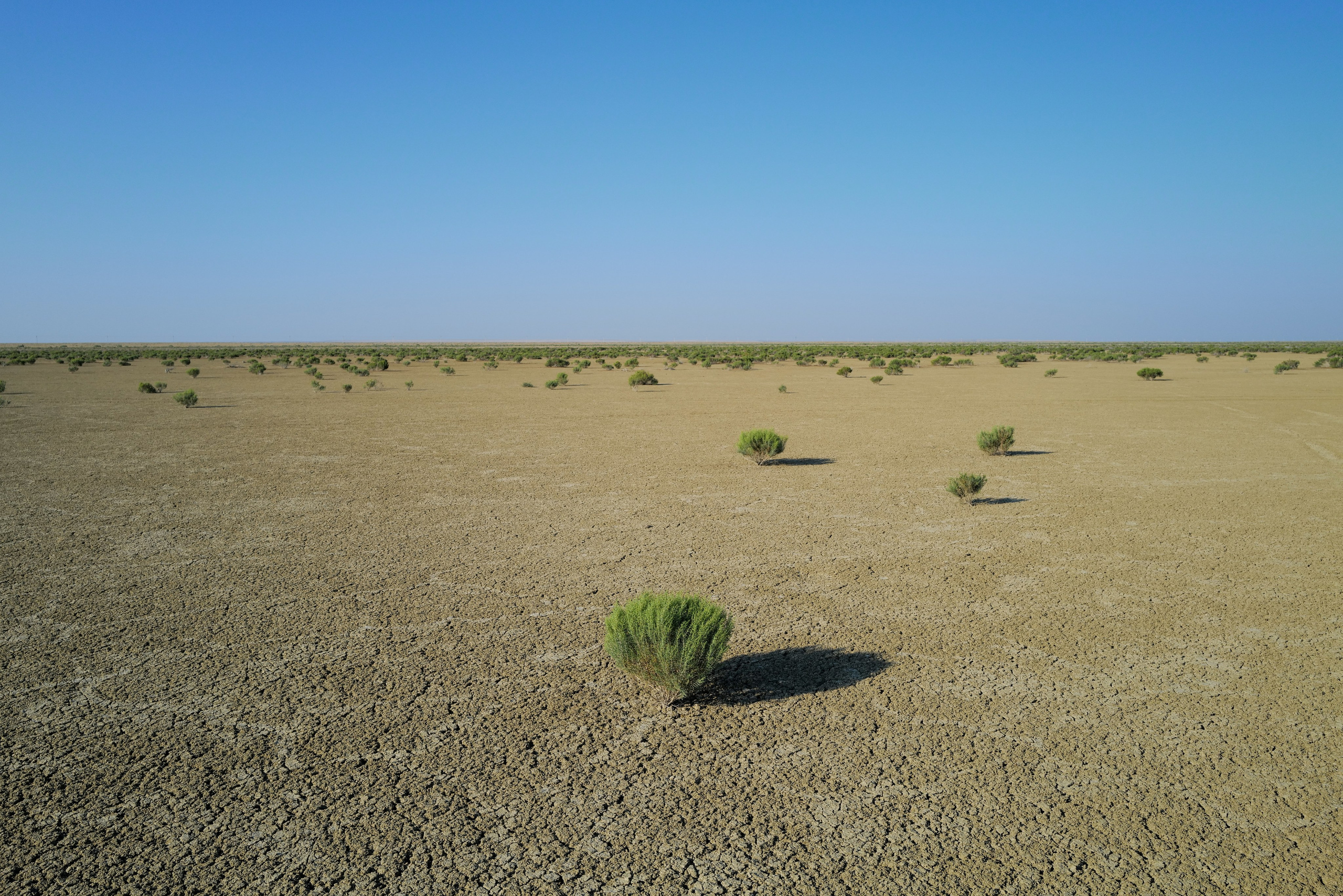 Syrdarya: water and people. Petr Trotsenko documentary photographer