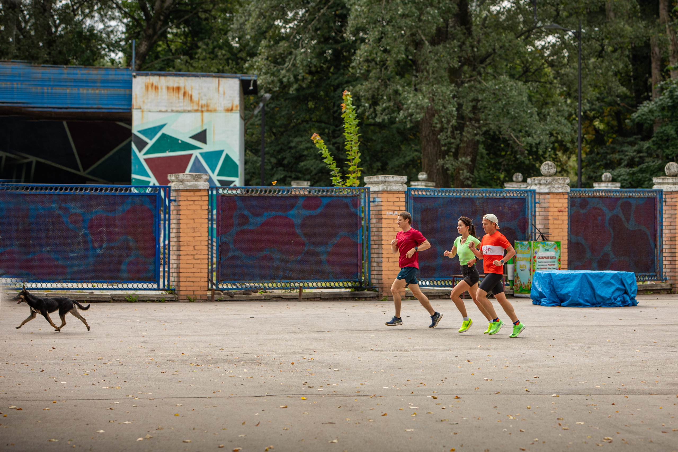 219 парковый забег в г. Рязань, 10.08.24. Фотограф Сергей Ловкий