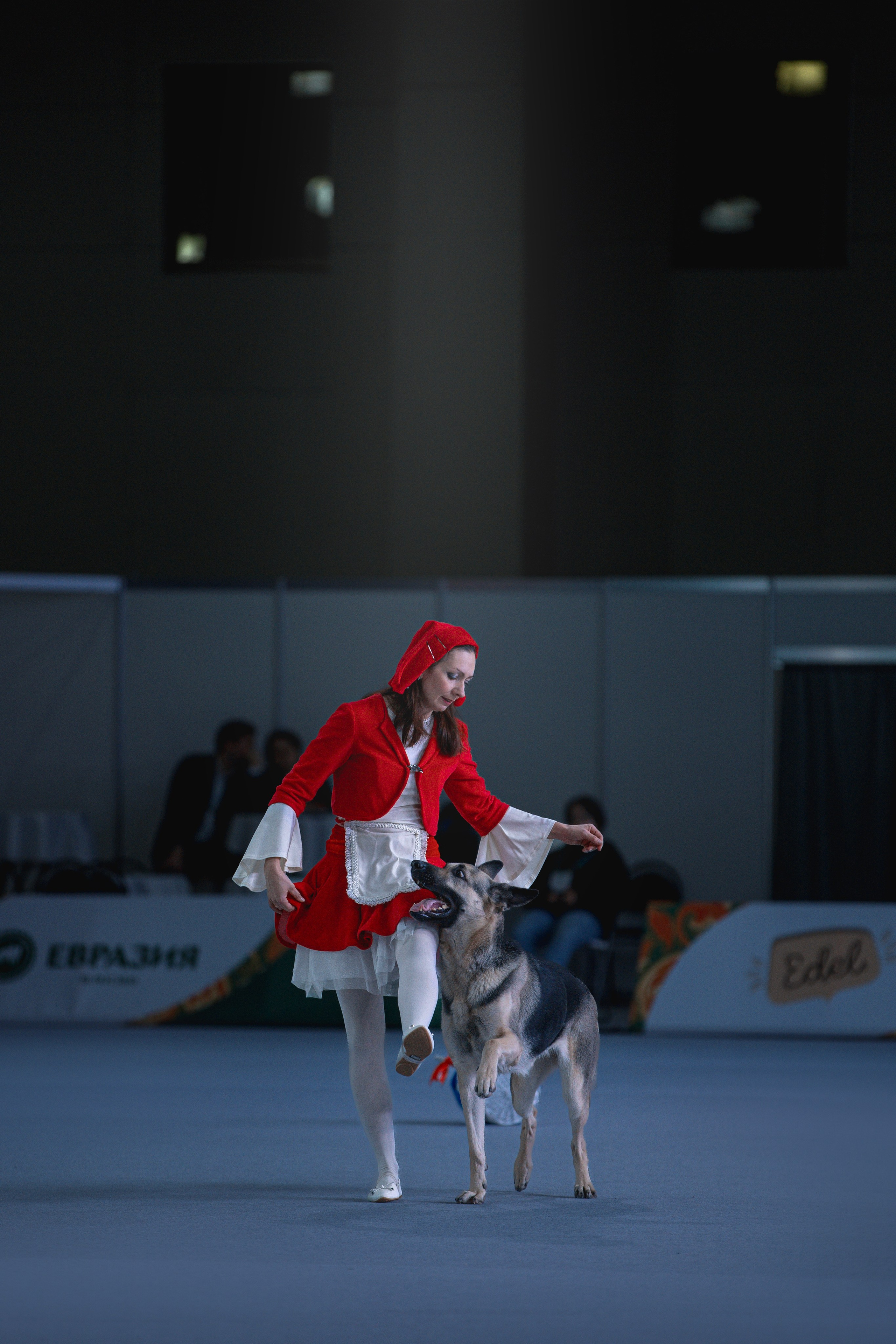 Выставки. Фотограф анималист в Москве Майорова Евгения