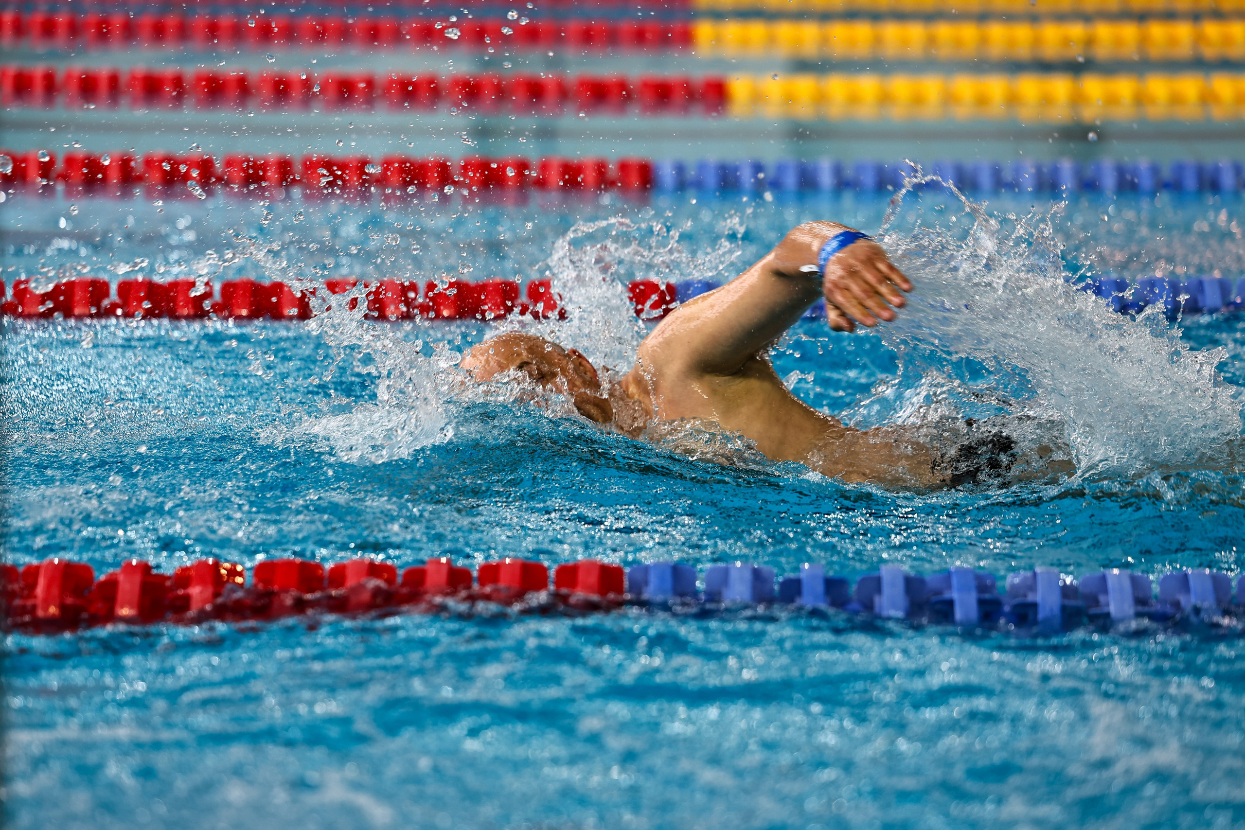 ДЗМ Плавание 2026. Фототерапевт Ева Бунеева