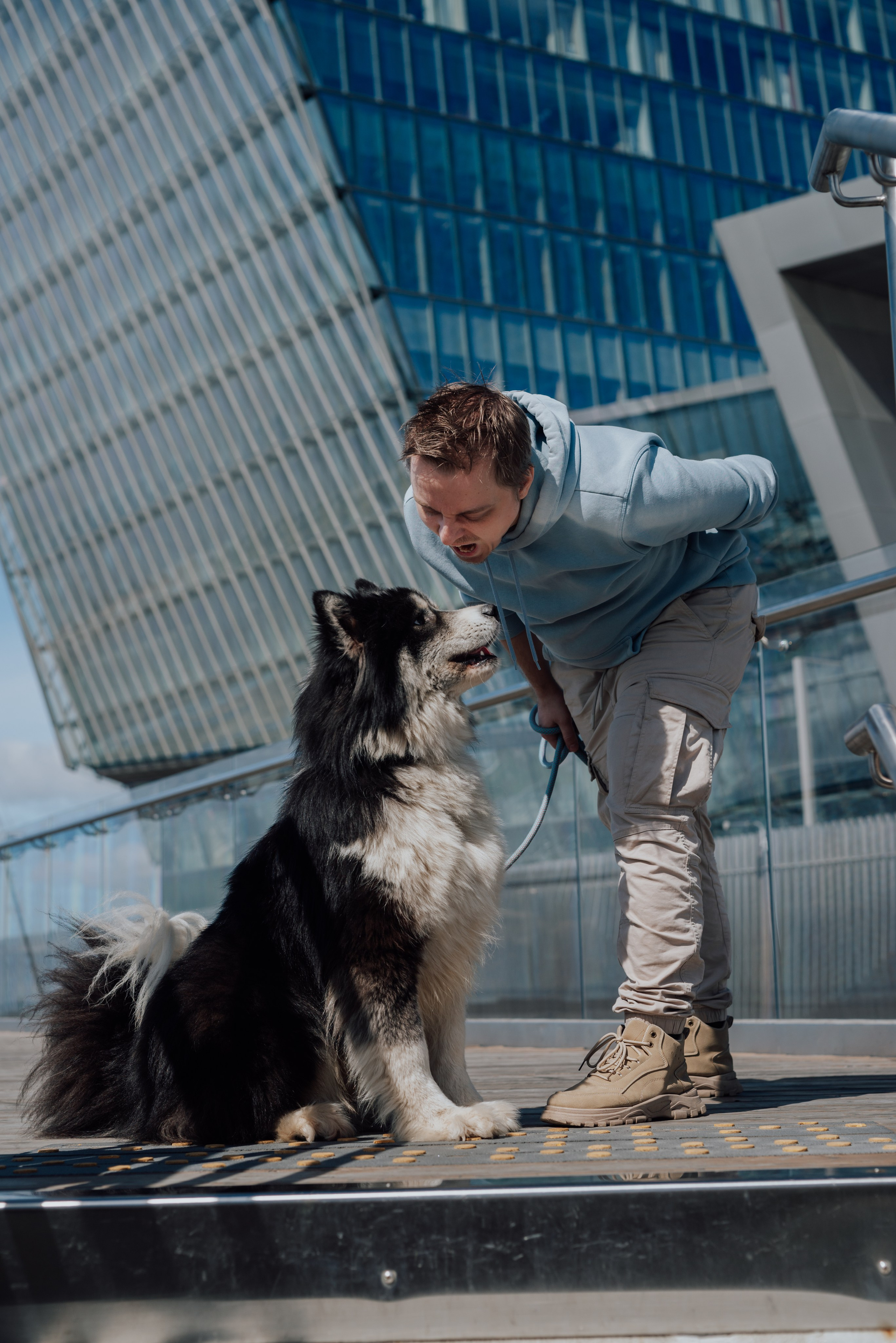 Фотодень с хаски. Фотограф в Санкт-Петербурге и Ленинградской области