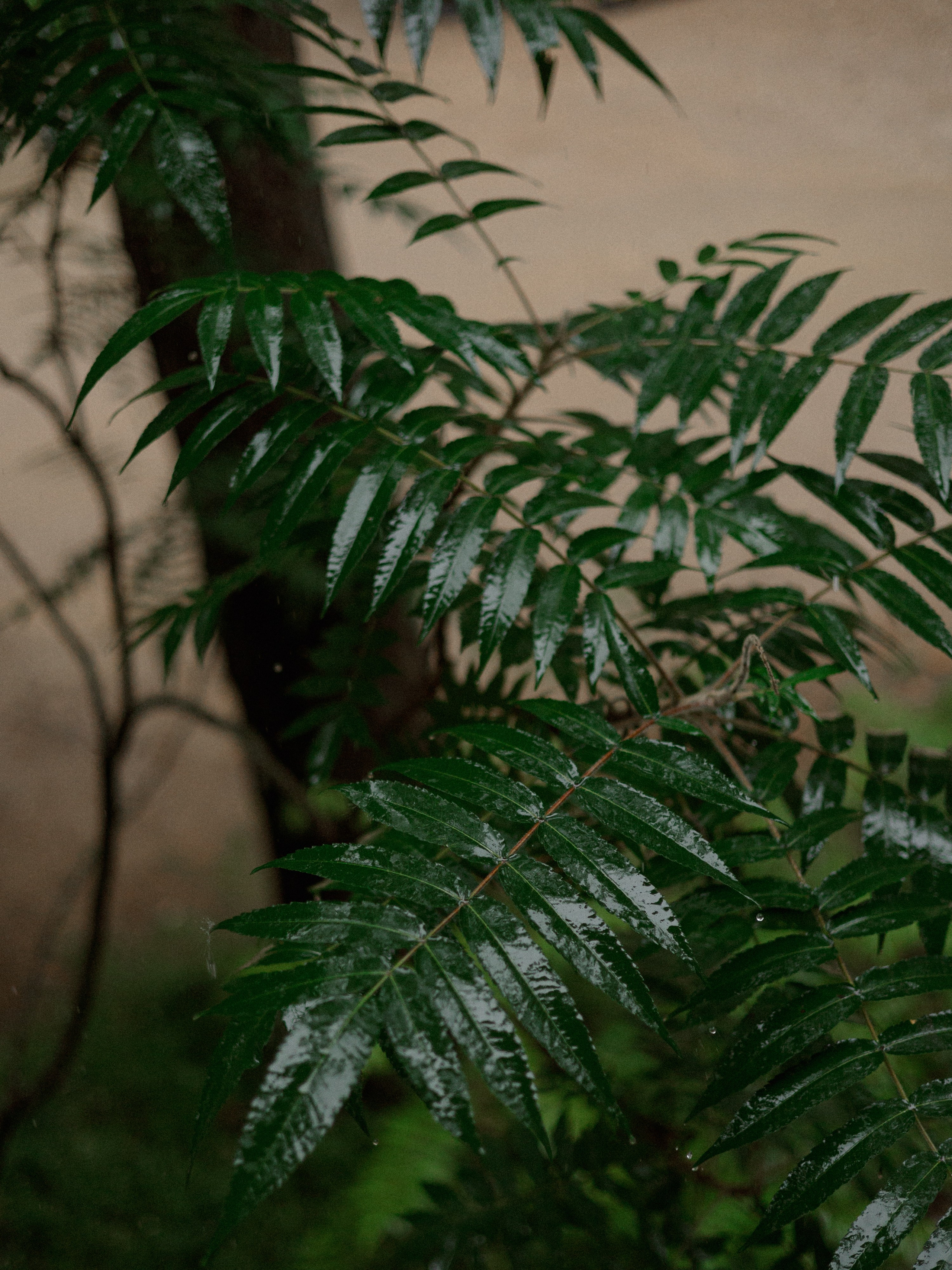 Анонс Wedding day Андрей и Екатерина. Свадебный фотограф Колесников Антон