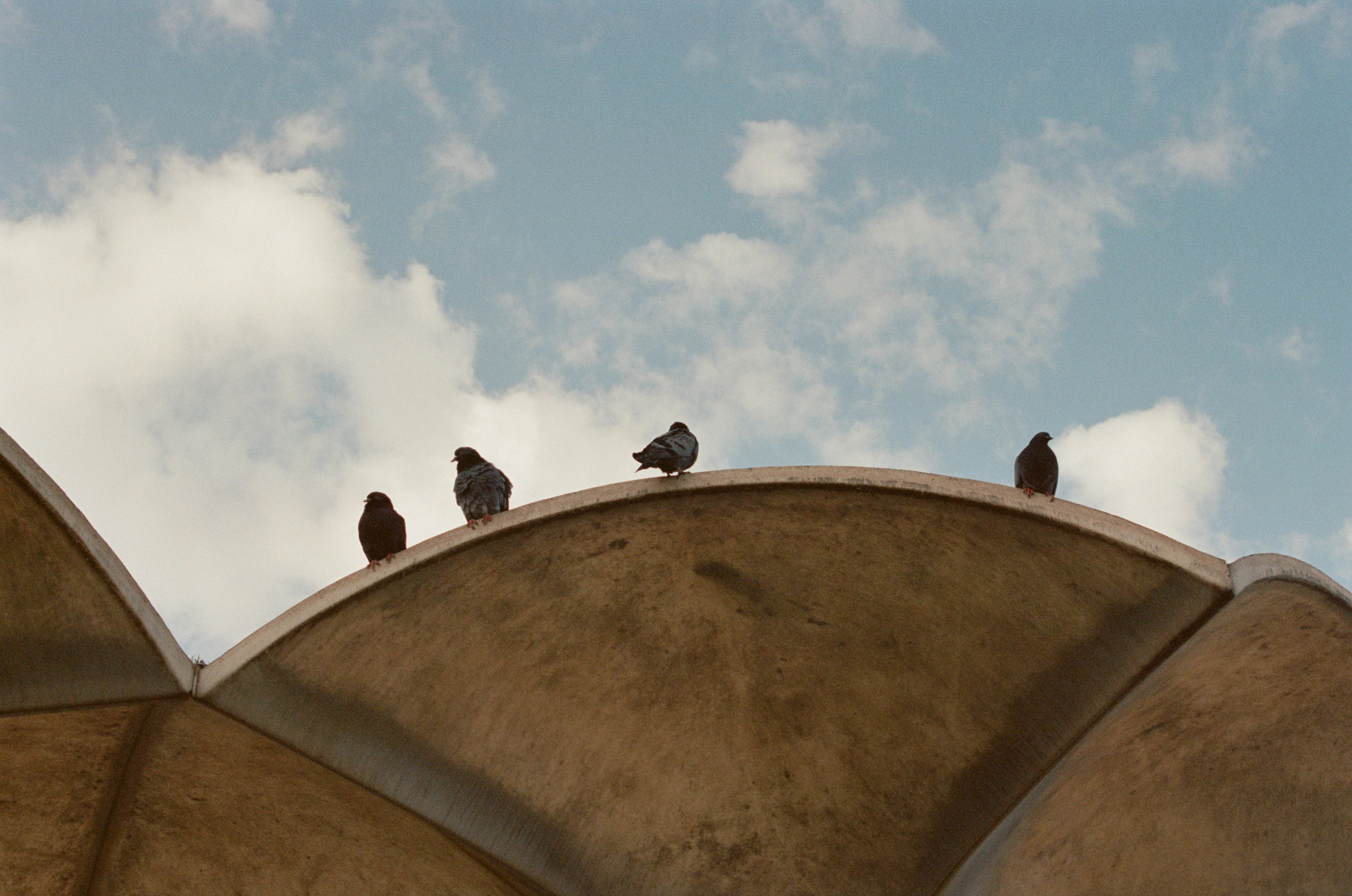 This time // ukraine, crimea II. EVER EXPOSED