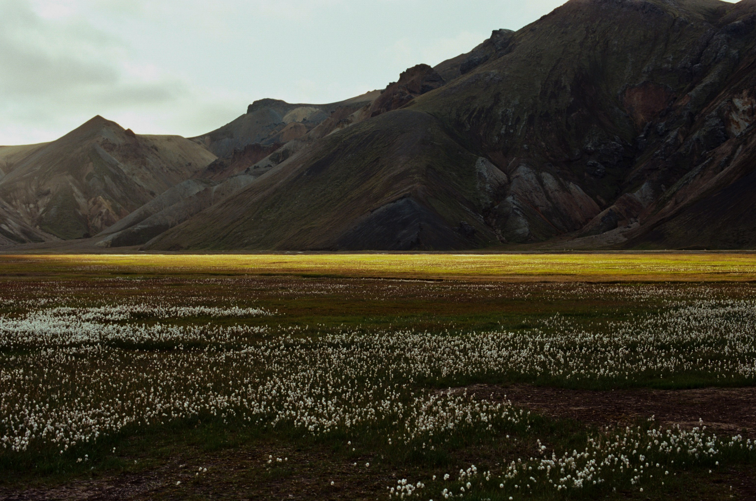 Human // iceland, landmannalaugar. EVER EXPOSED