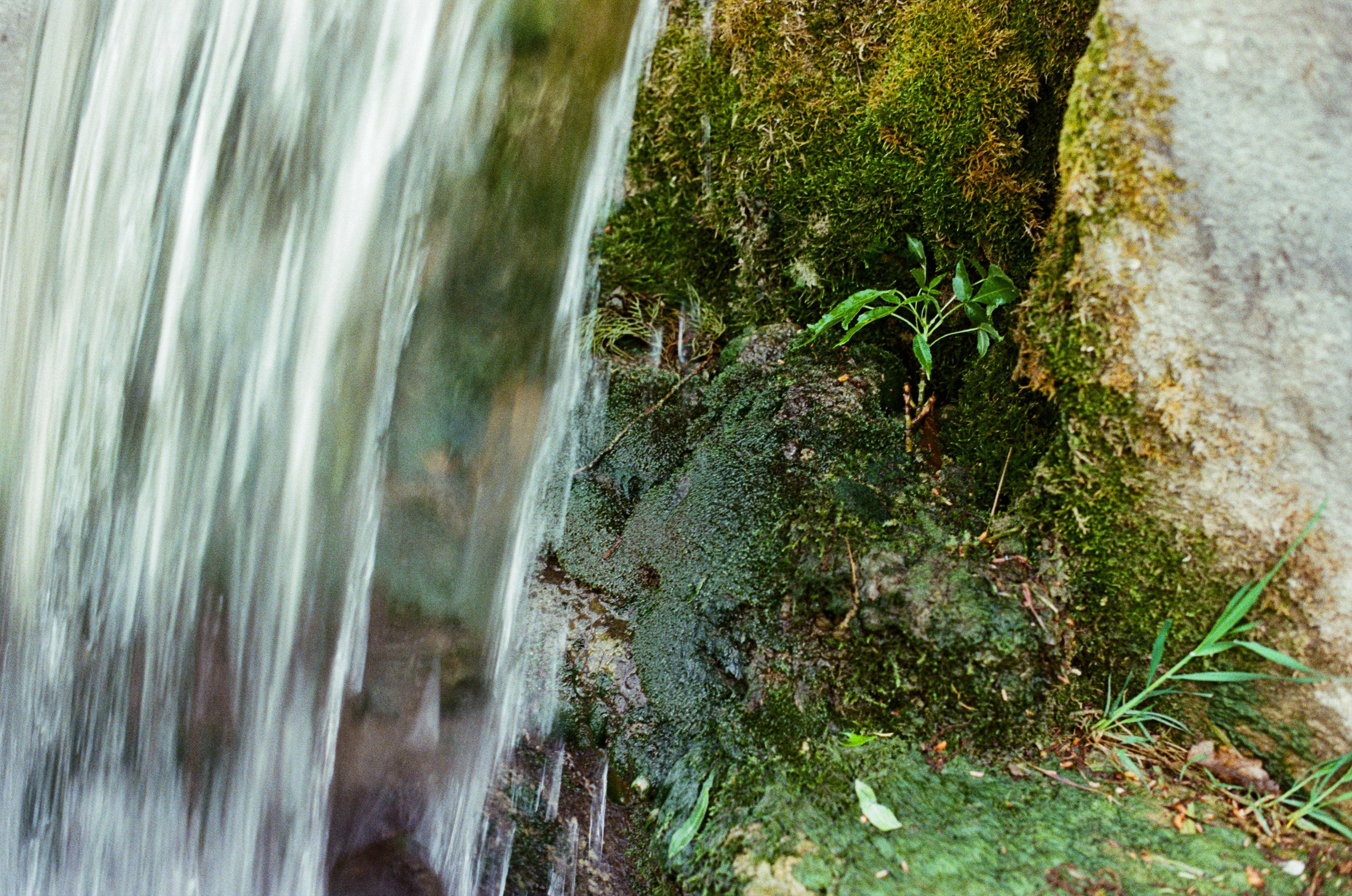 Silver strings // ukraine, crimea IV. EVER EXPOSED