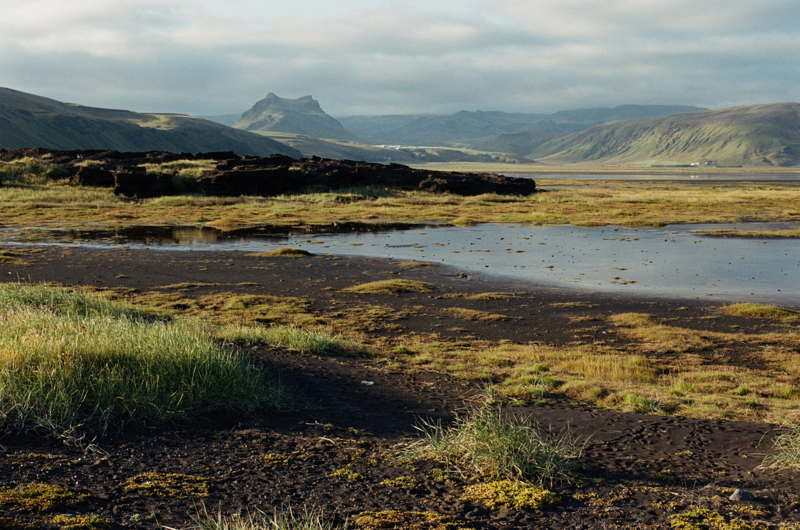 Vor i vaglaskogi // iceland, dyrhólaey. EVER EXPOSED