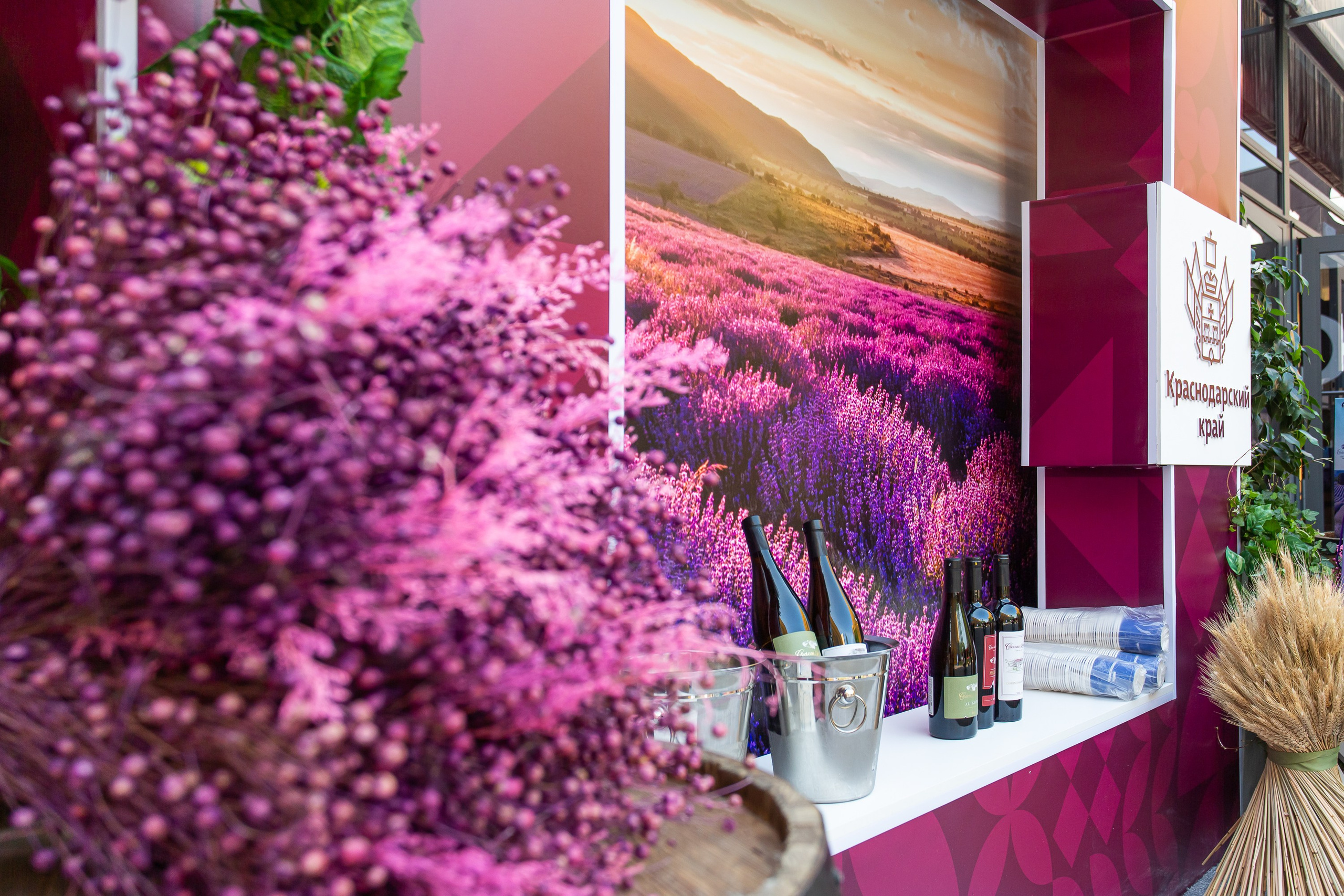 Деловой репортаж. Сергей Гусев — спортивная фотография, виртуальные туры, 3д панорамы