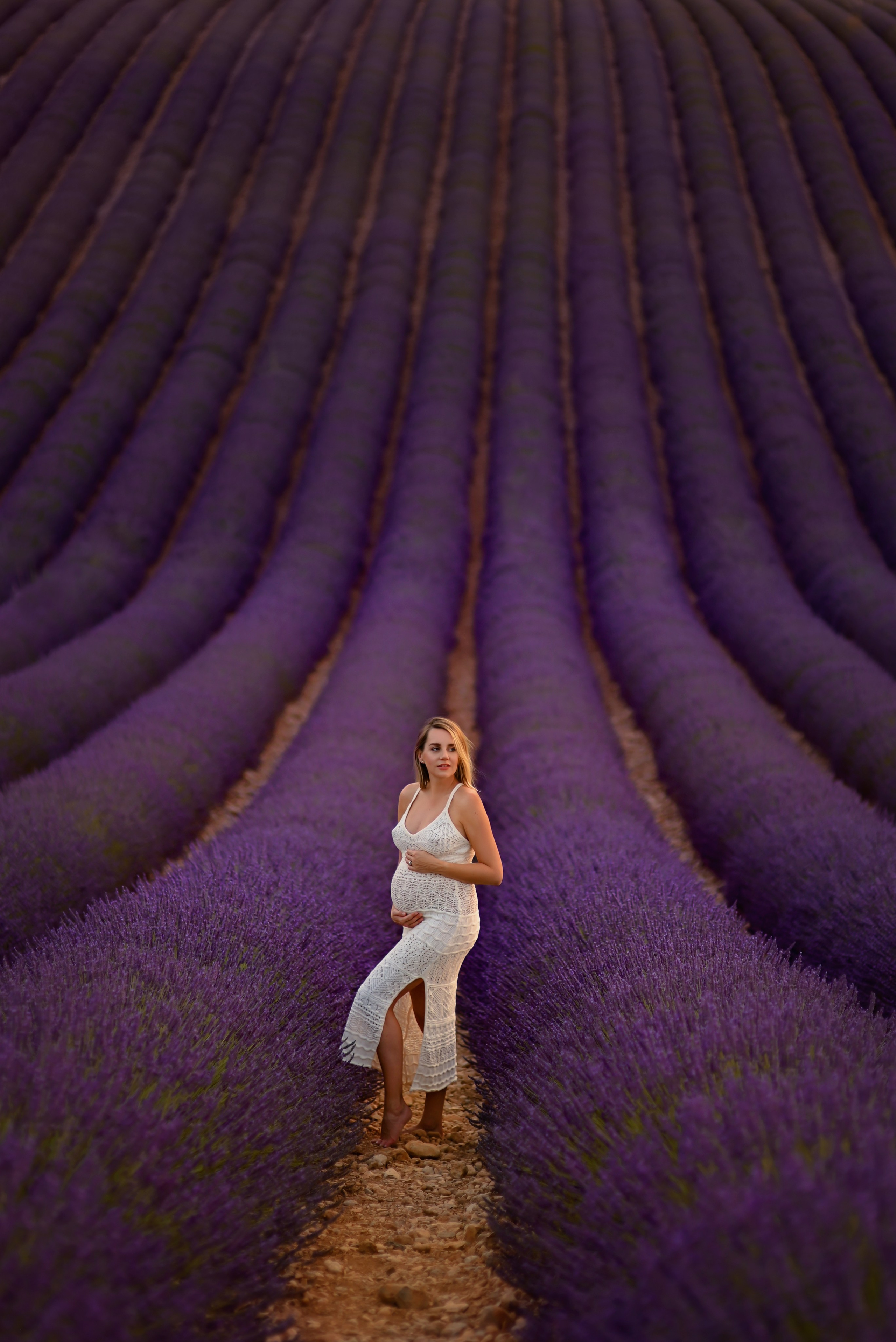 Lavender. Photographer in Provence Julia Lipiainen