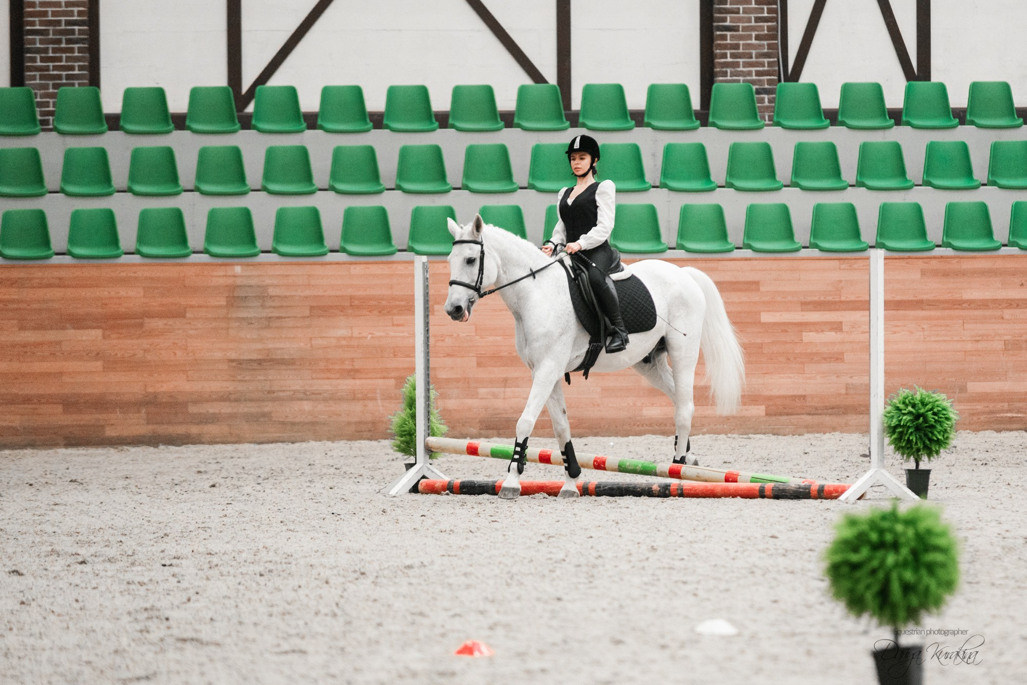 8-я международная выставка Конная Россия. Конный фотограф Куракина Дарья • Фотосессии с лошадьми
