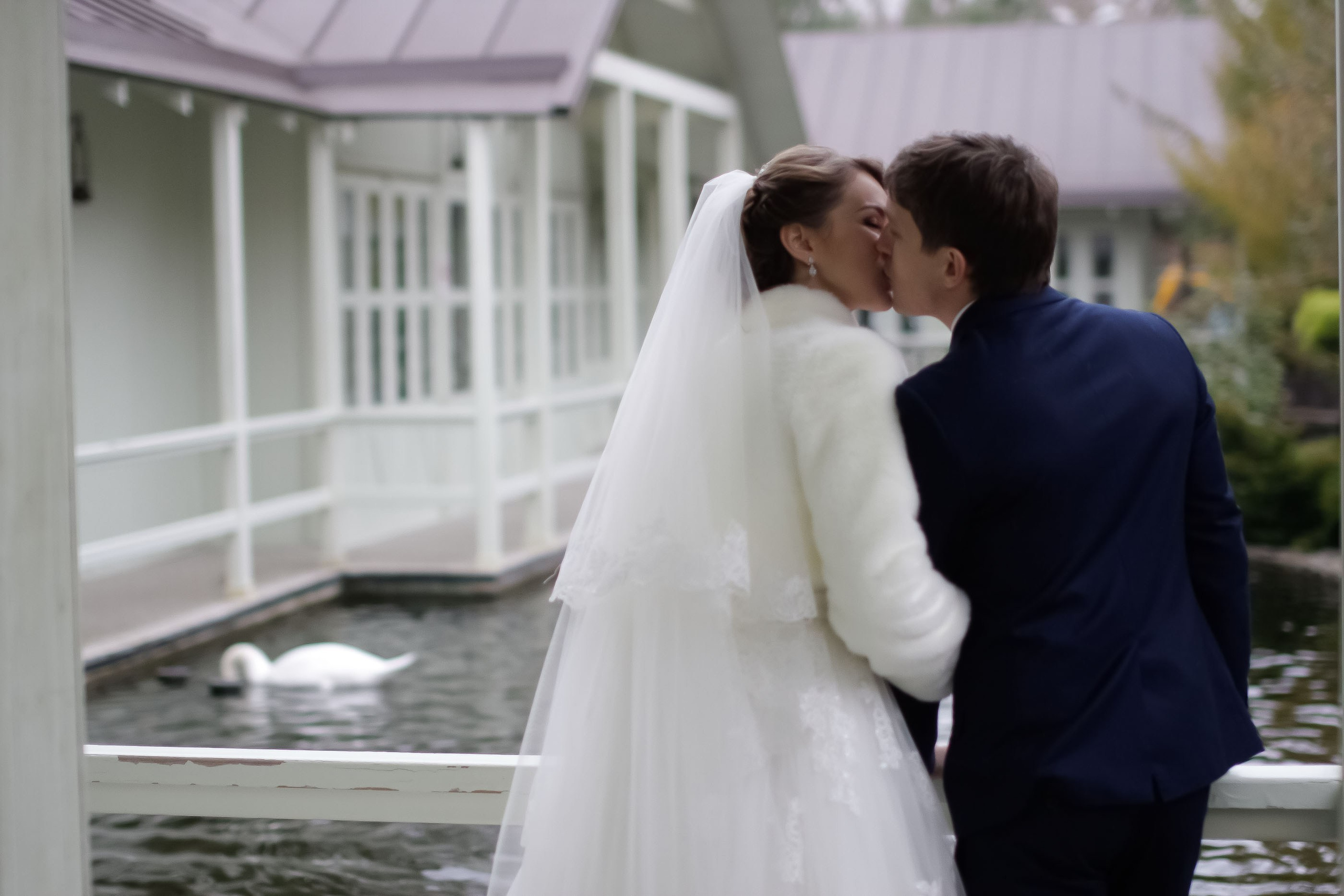 Прогулка/Walk. Максим Матвийченко и Виктория Басова профессионалы своего дела