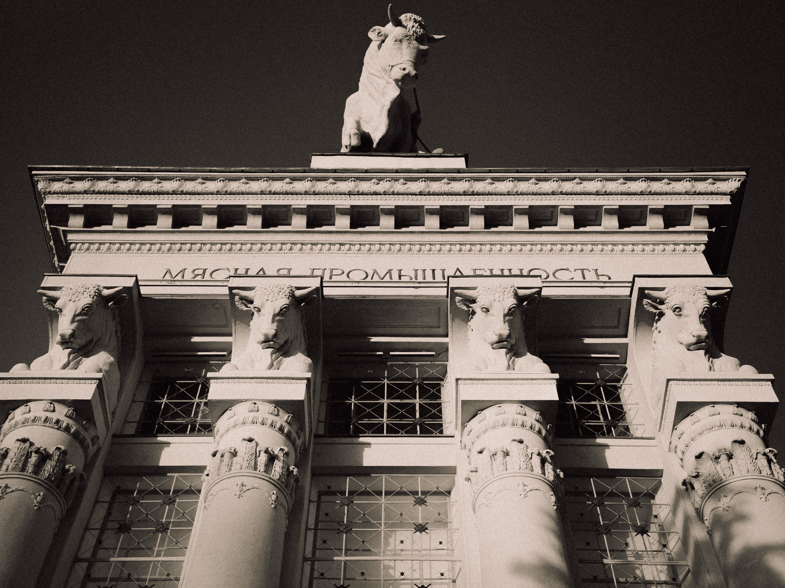 Фотография. Видео-оператор, видеограф, фотограф в Москве, видеомонтаж