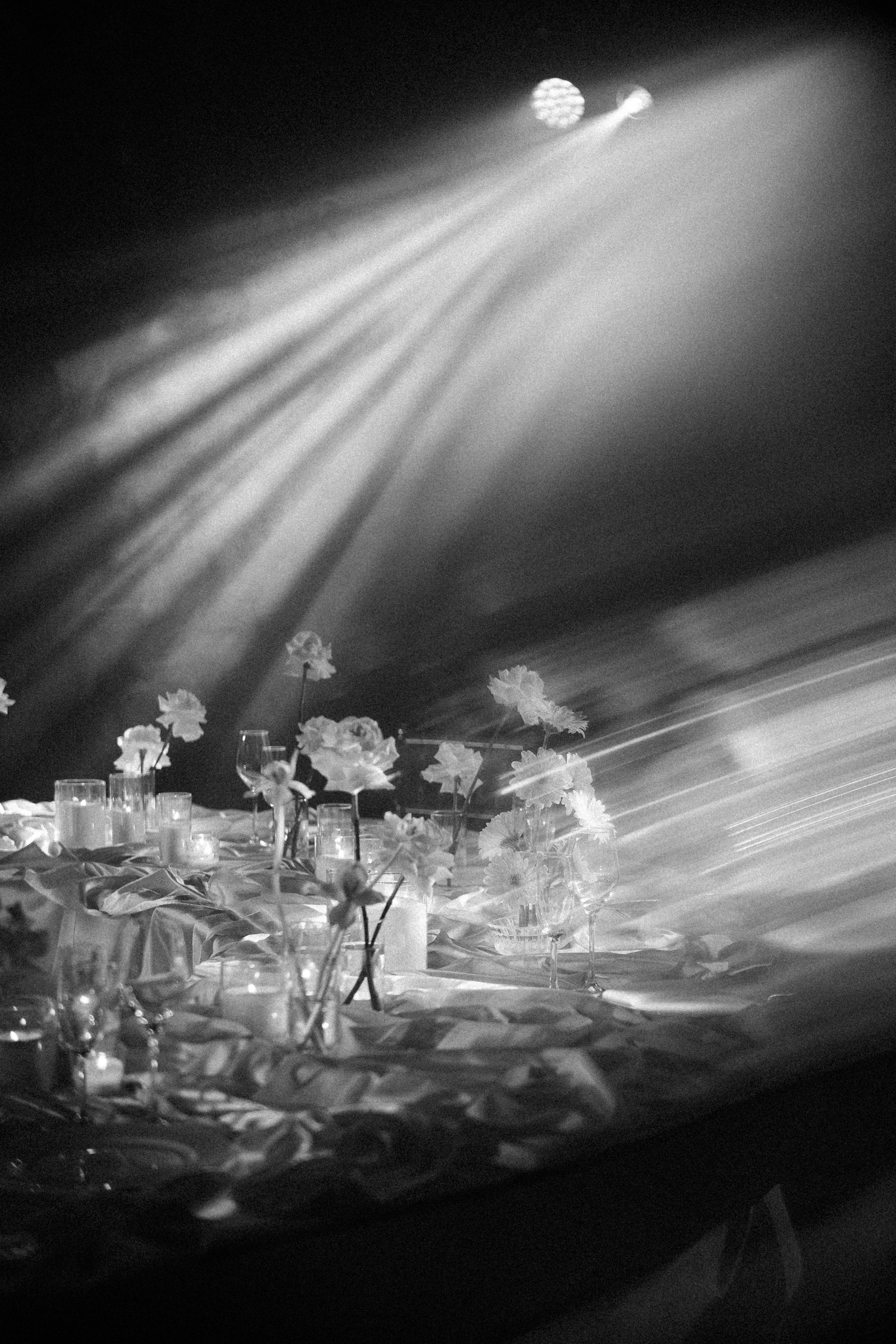 Вероника & Максим. Phdkvmr.ru