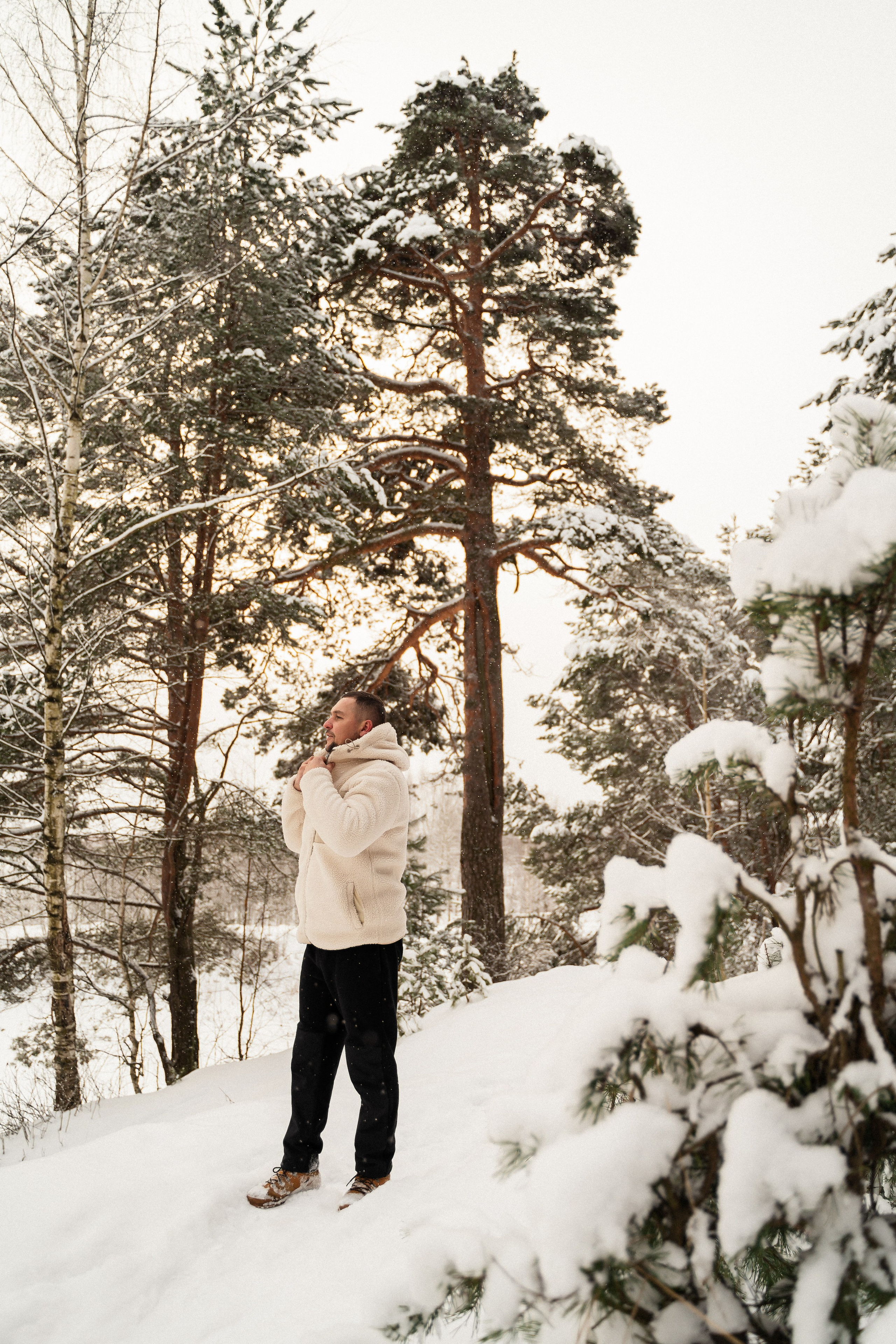 Зимний лес. Фотограф Алина Филимонова Тверь