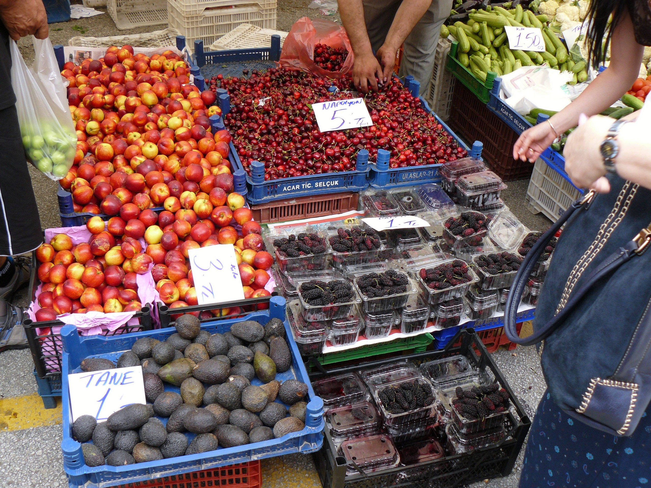 Алания 2014. Фотопрогулки по Миру