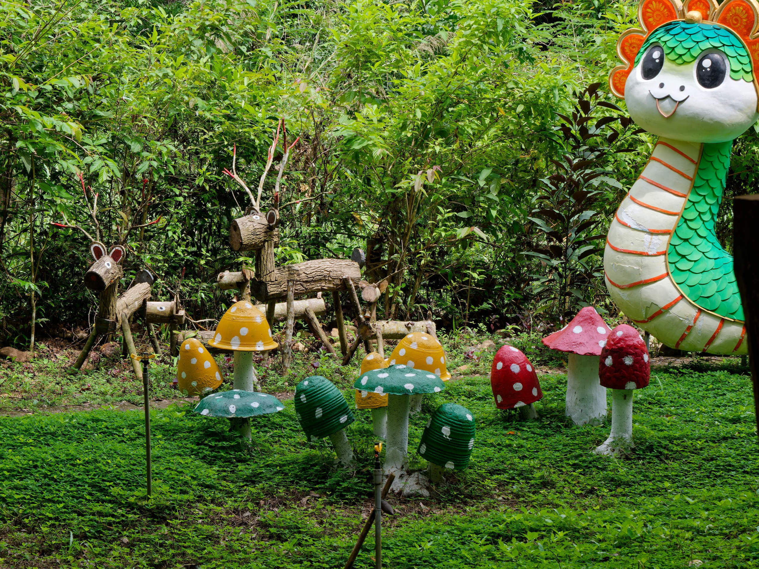 Нячанг 2025 (5). Избранные фотографии