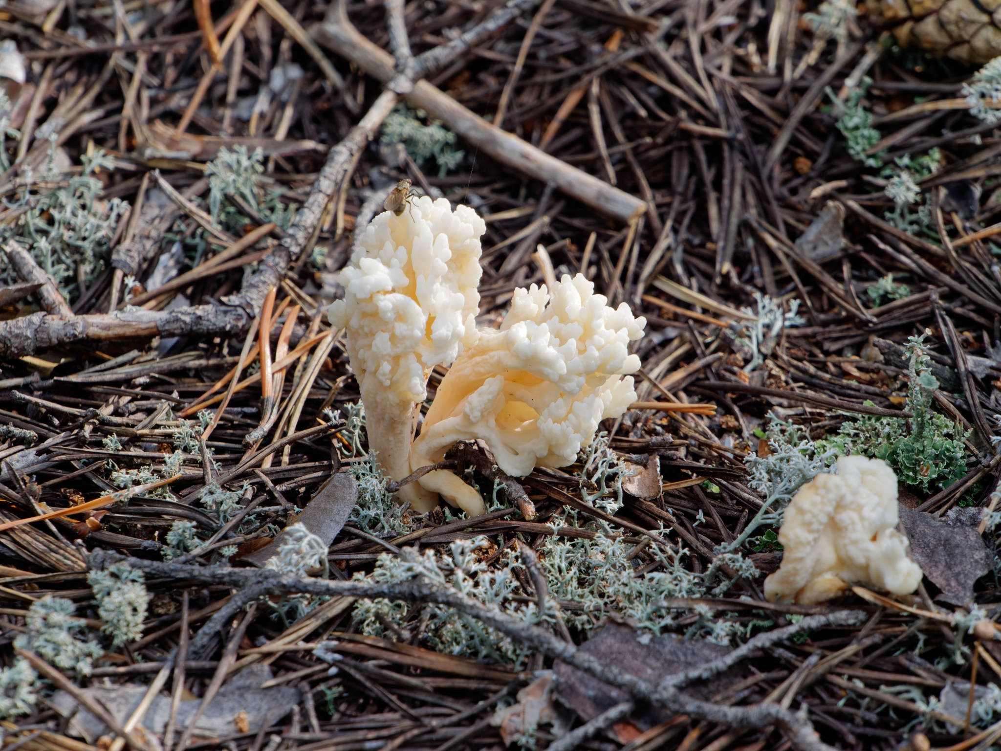 Боровое 2024 (из архива). Избранные фотографии