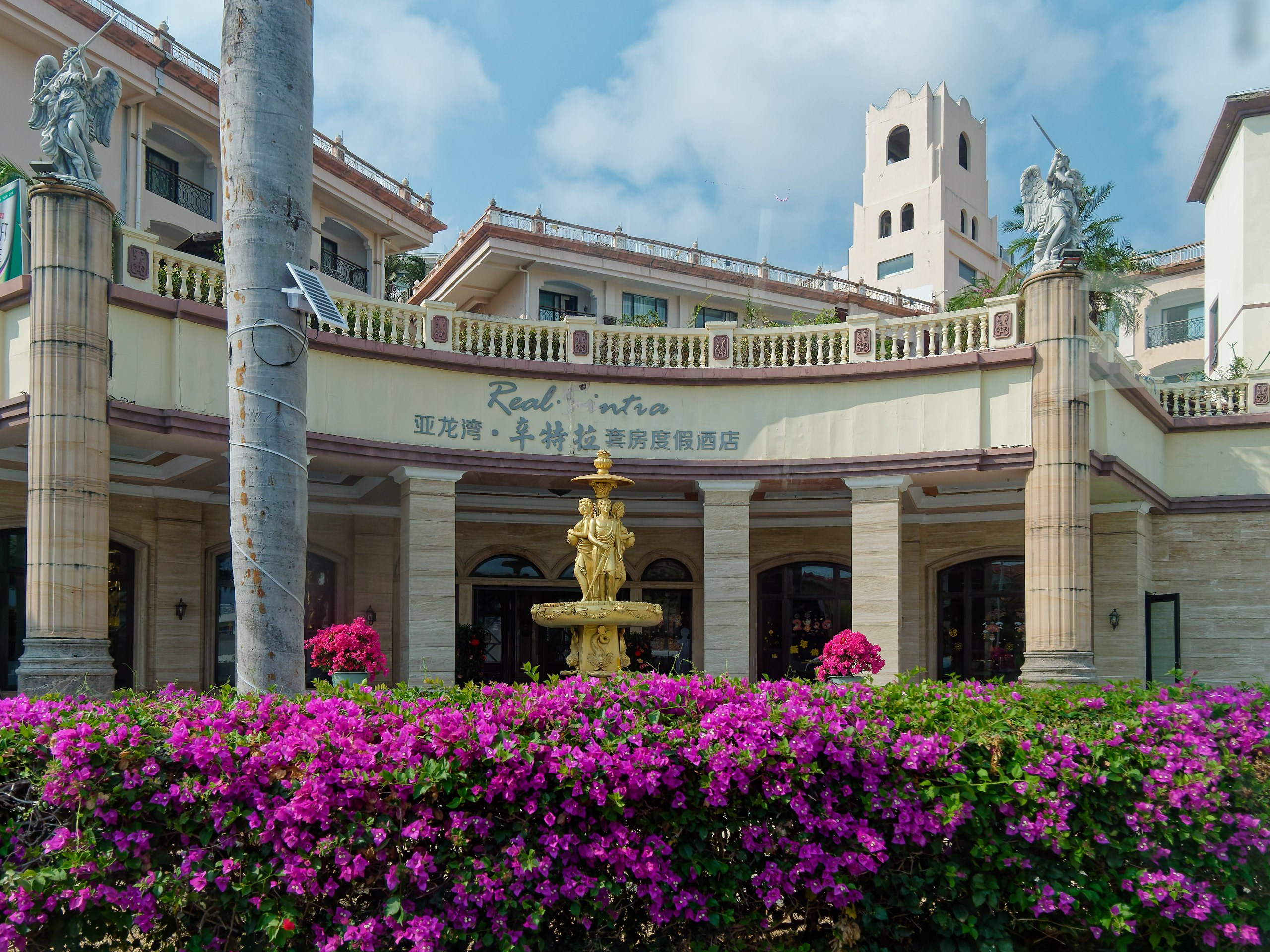 Хайнань 2026, флора, цветы и деревья. Фотопрогулки по Миру