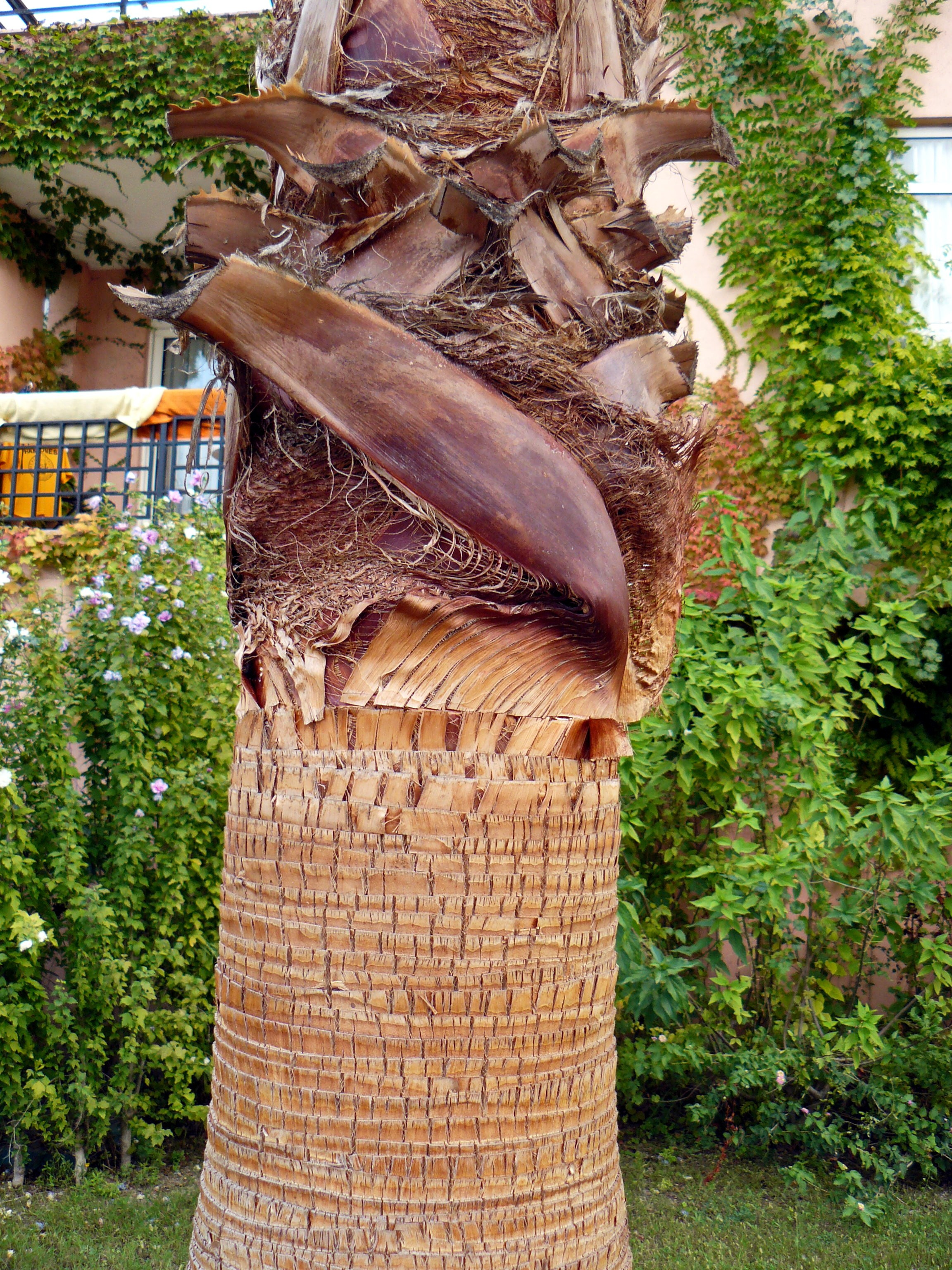 Кемер, Чамьюва 2008. Избранные фотографии