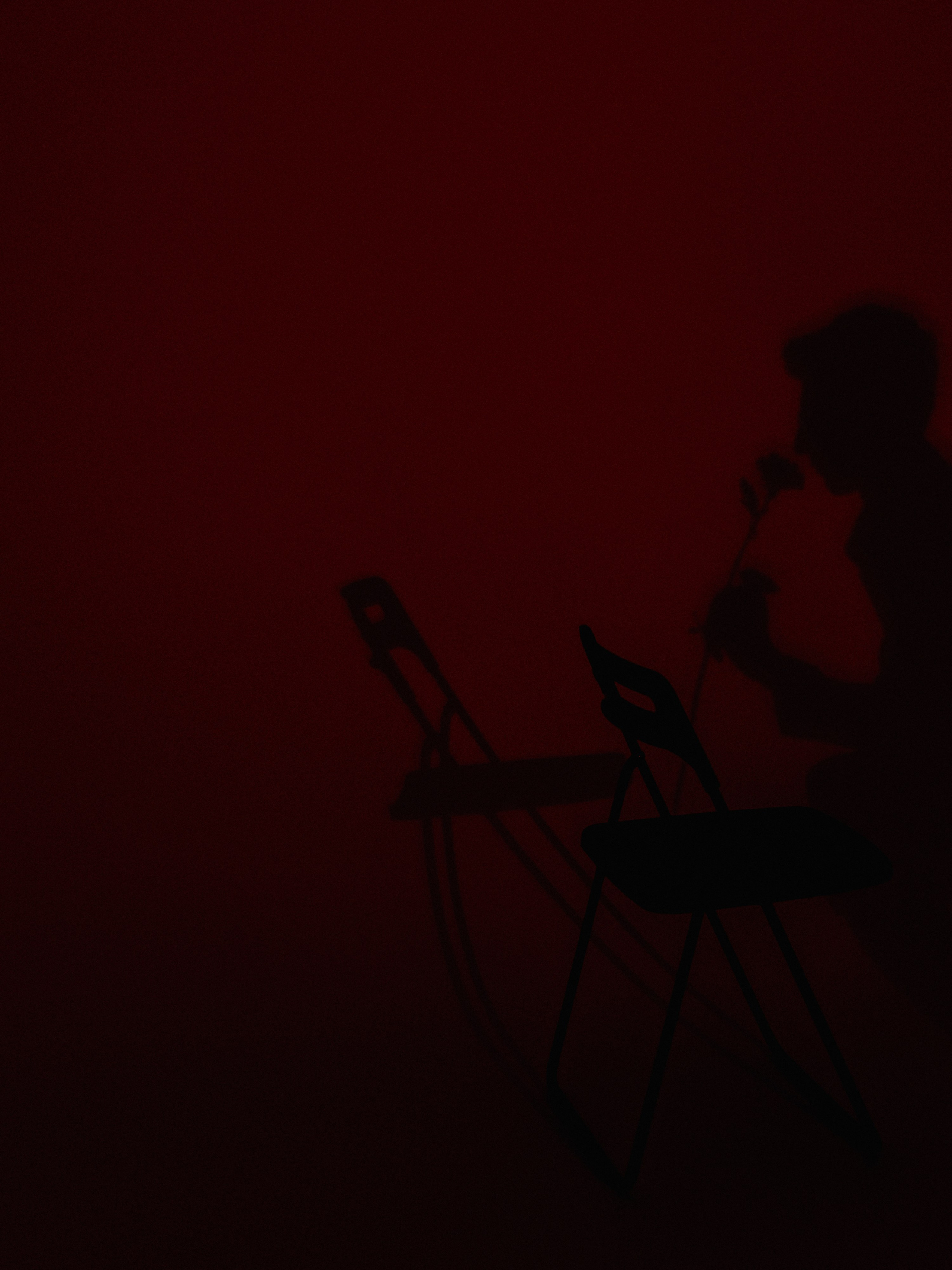 Страсти. Семейный фотограф в Краснодаре Храмова Анна