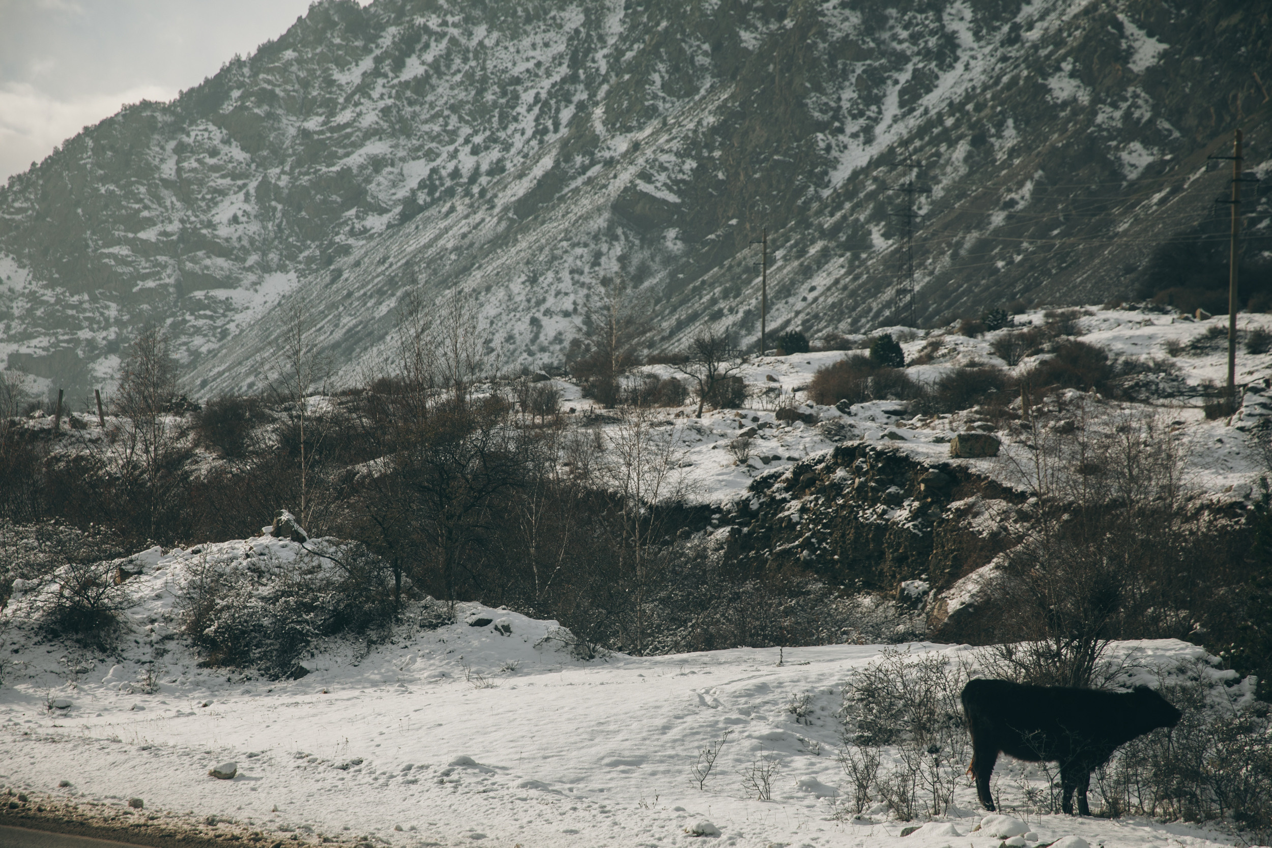Elbrus 20. Фотограф Максим Маркелов