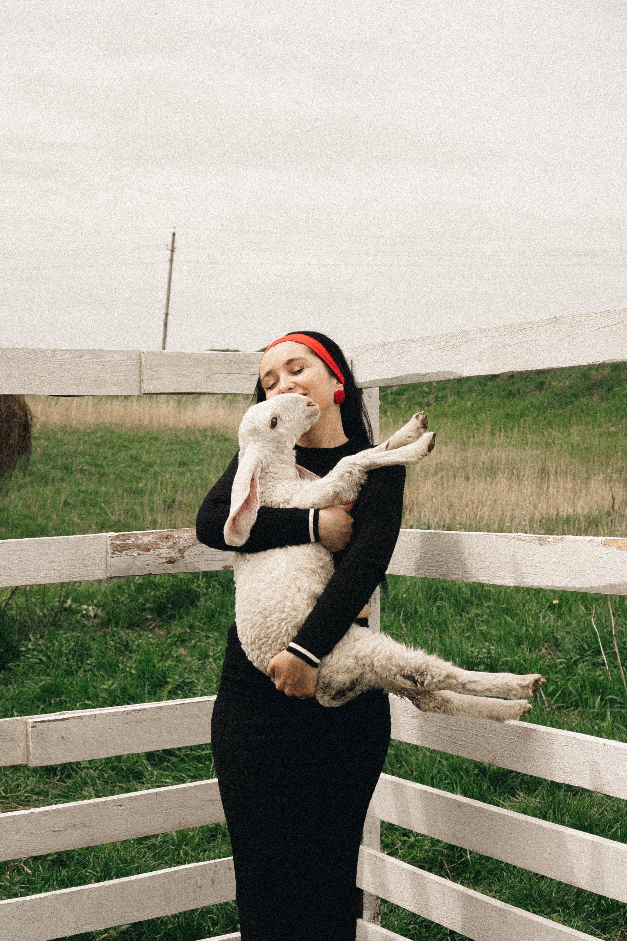 Ферма Альпак. Профессиональный фотограф, Санкт-Петербург — Виктория Богомолова