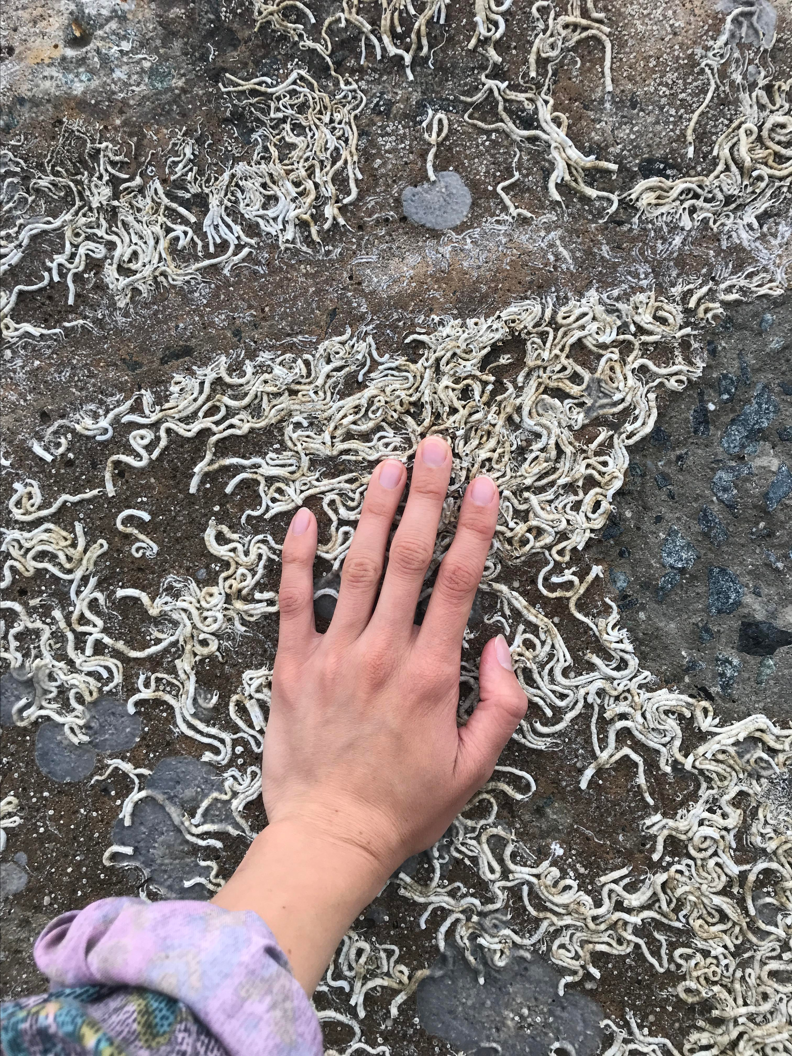 Про себя в городе и город в себе. Xenia Ryabova