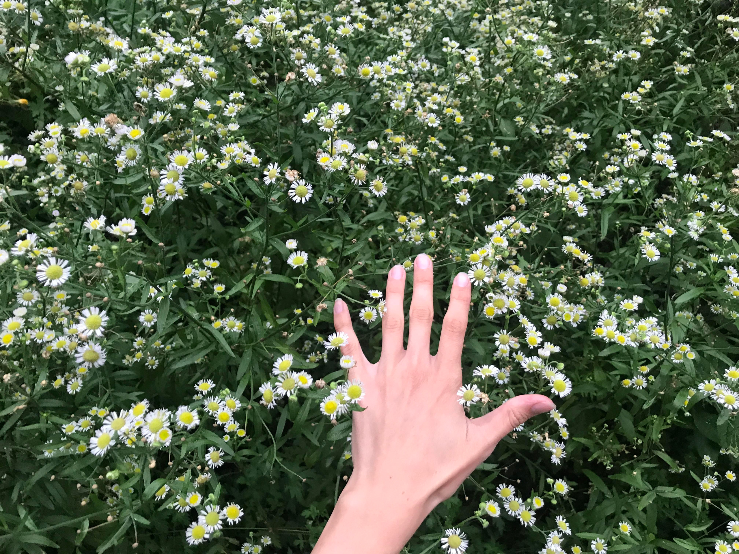 Про себя в городе и город в себе. Xenia Ryabova