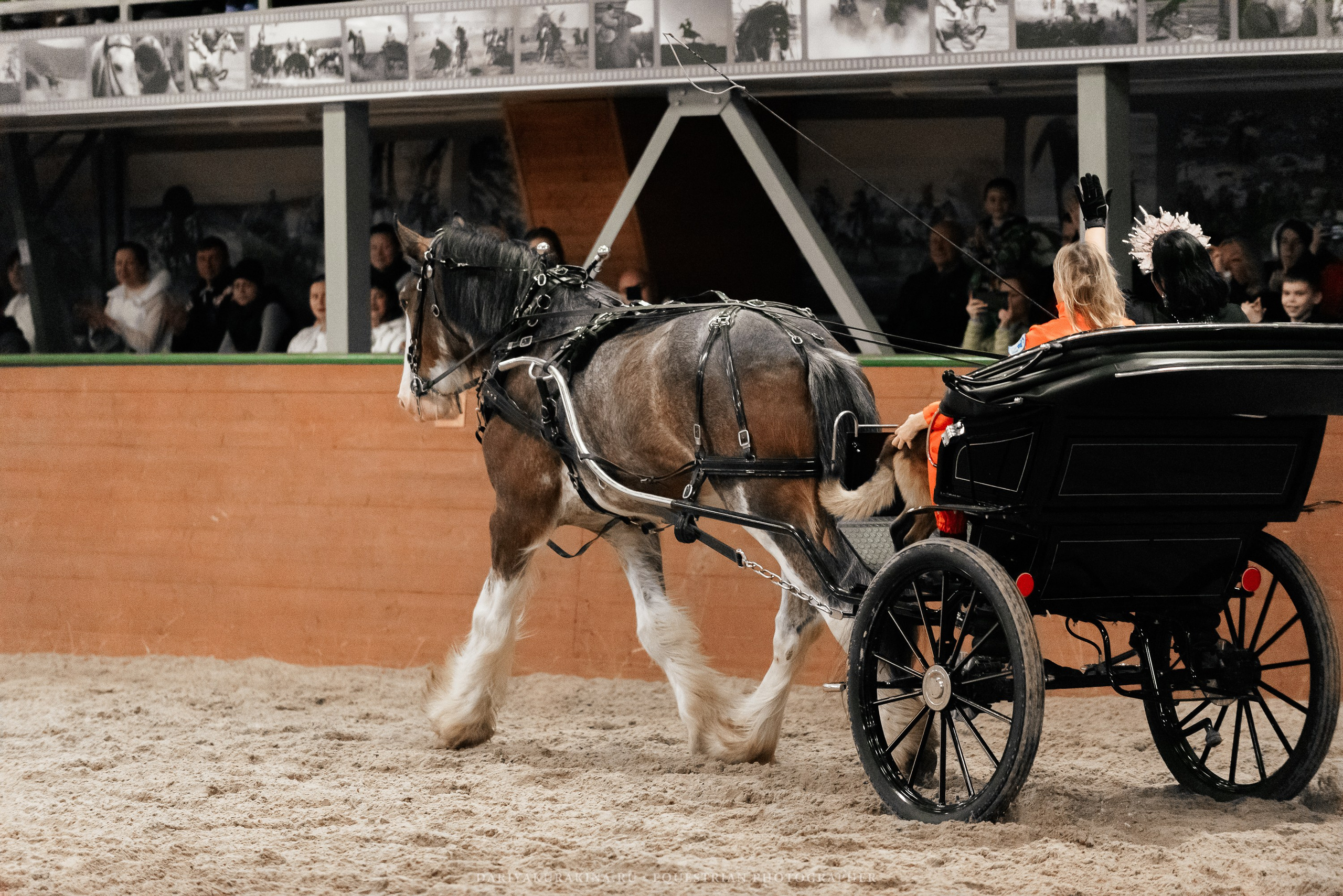 Конное представление «Дыхание Звёзд». Конный фотограф Куракина Дарья • Фотосессии с лошадьми